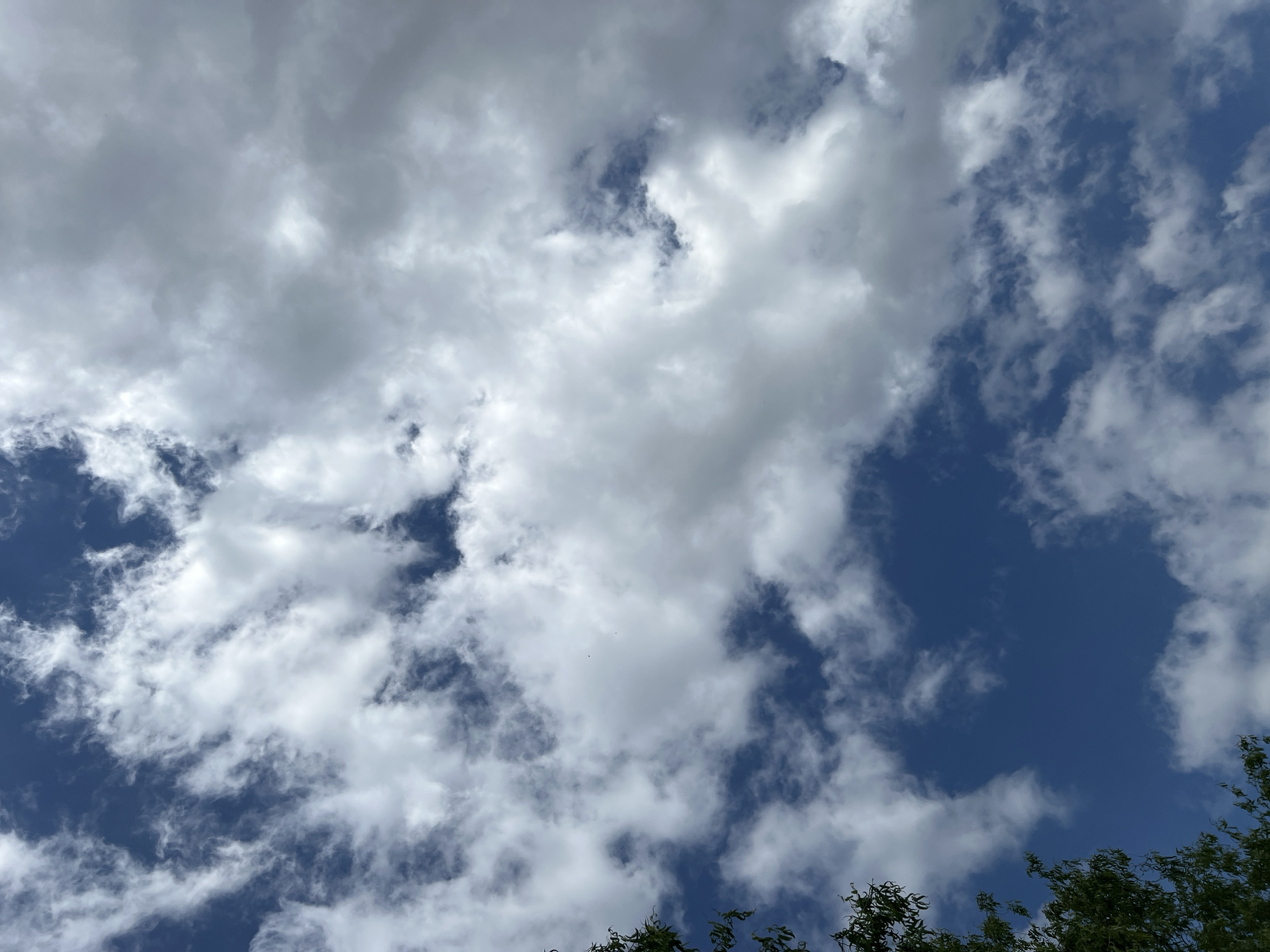 The image shows a view of the sky in Goryachiy Klyuch, Russia. The sky is predominantly blue, with scattered white and gray clouds. Some tree tops with green leaves are visible in the lower right corner of the image.