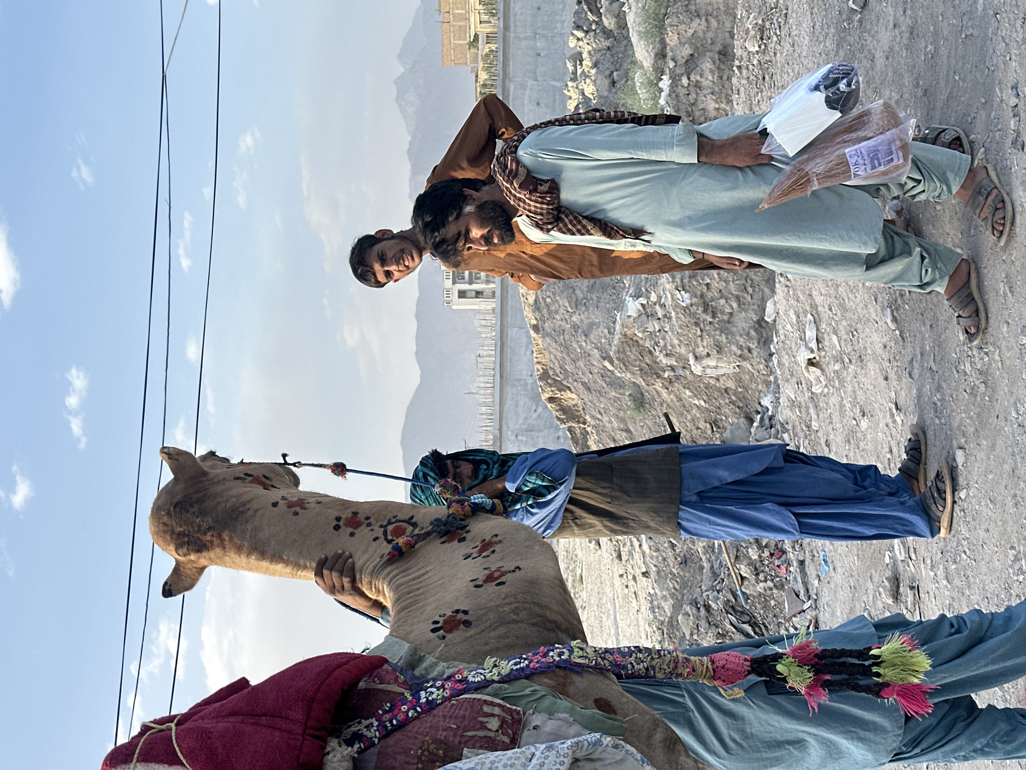 A group of four men are standing near a camel, possibly for transport or a photo opportunity, in an outdoor area within Quetta City Tehsil, Pakistan. The background includes a partly constructed wall and mountainous terrain. The camel is adorned with decorative elements. Two of the men are posing next to each other, one in a light brown garment and the other in a light blue one, while the other two men are dressed in darker shades, with one holding the camel. The camel has patterned marks on its body. One man carries what looks like packages.