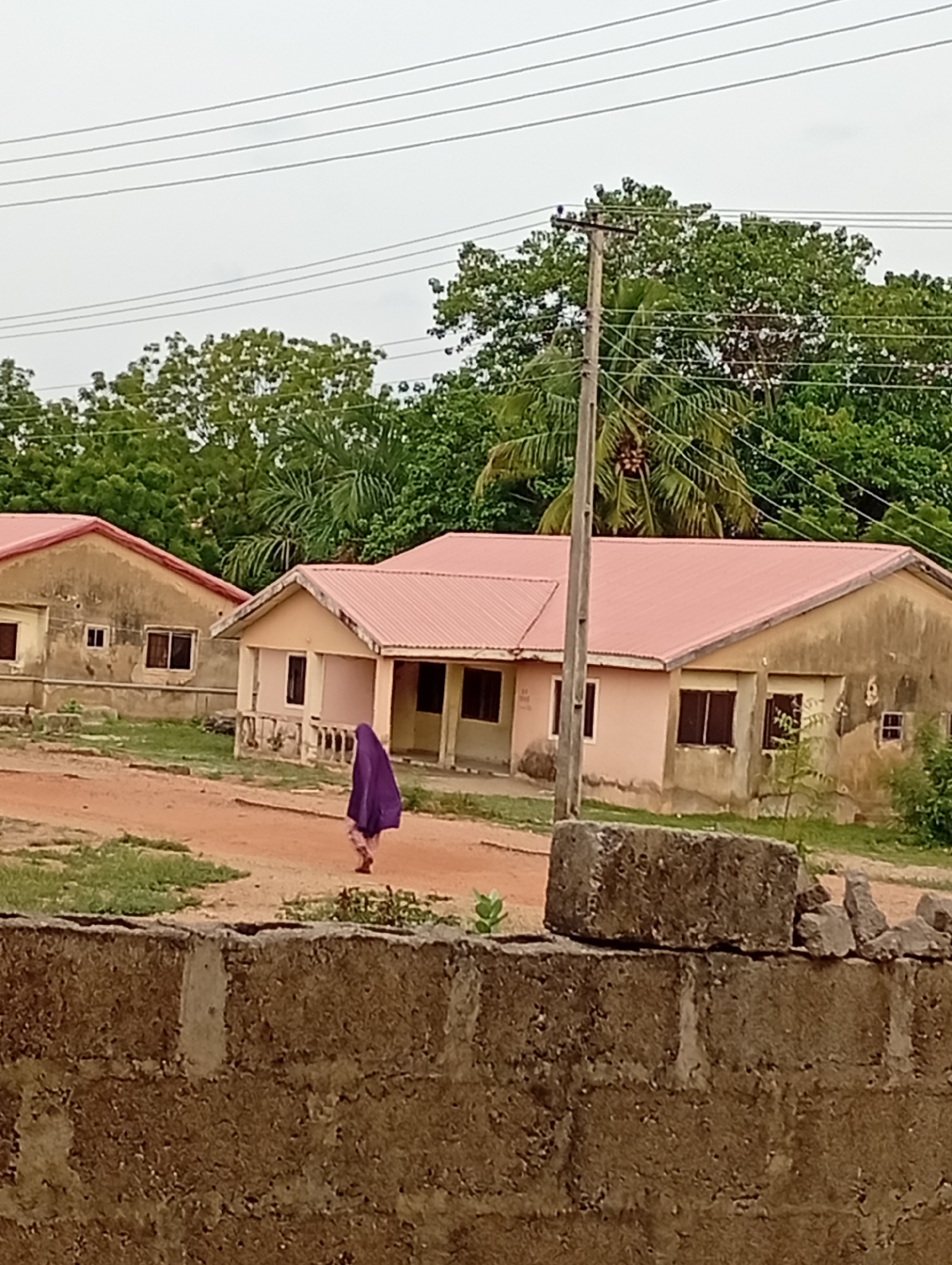 The image depicts a scene in Adankolo, Nigeria, featuring two adjacent buildings with reddish-pink roofs and beige-colored exteriors. The buildings appear to be in a state of disrepair. A woman wearing a purple garment walks on a dirt path between the buildings and a concrete wall in the foreground. A utility pole stands in the vicinity of the buildings. Lush green trees are visible behind the buildings and in the background. The sky is overcast.