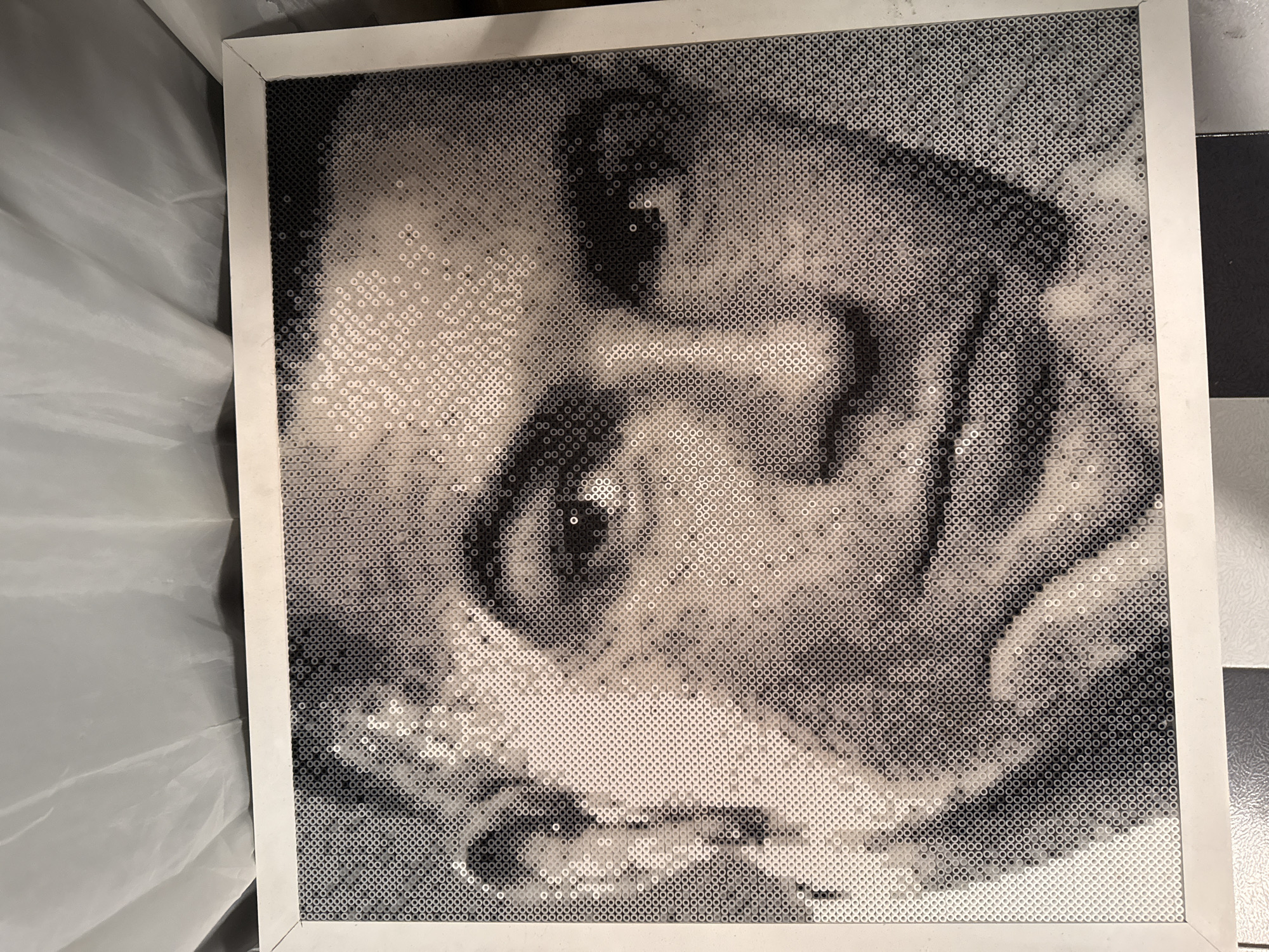 The image shows a framed black and white mosaic portrait of a person, possibly made of small, round beads or tiles. The frame is white. The background is a combination of a white, draped surface and a black and white tiled floor. The image suggests it is indoors. There is no information in the image to suggest it is in Puebla, Mexico.