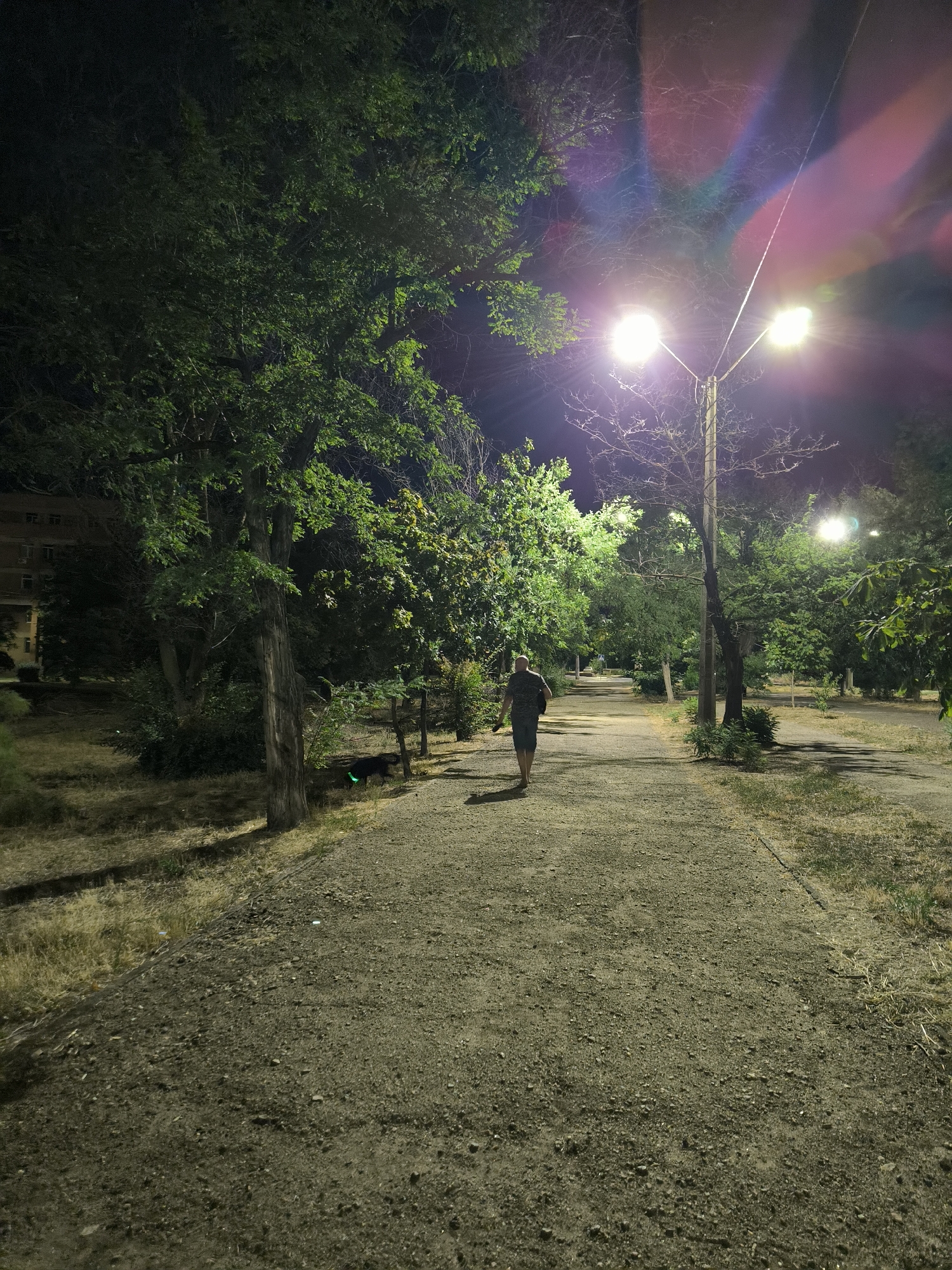 A person walks alone on a gravel path at night in a park or wooded area, illuminated by streetlights. The person is wearing a t-shirt and shorts and is walking away from the camera, towards the right side of the frame. The path is lined with trees and grass, and a building is visible in the background on the left. The streetlights cast bright pools of light and create lens flares. A black dog with a bright green collar is visible to the right of the path. The image appears to be taken in Mykolaiv, Ukraine, based on the context provided.