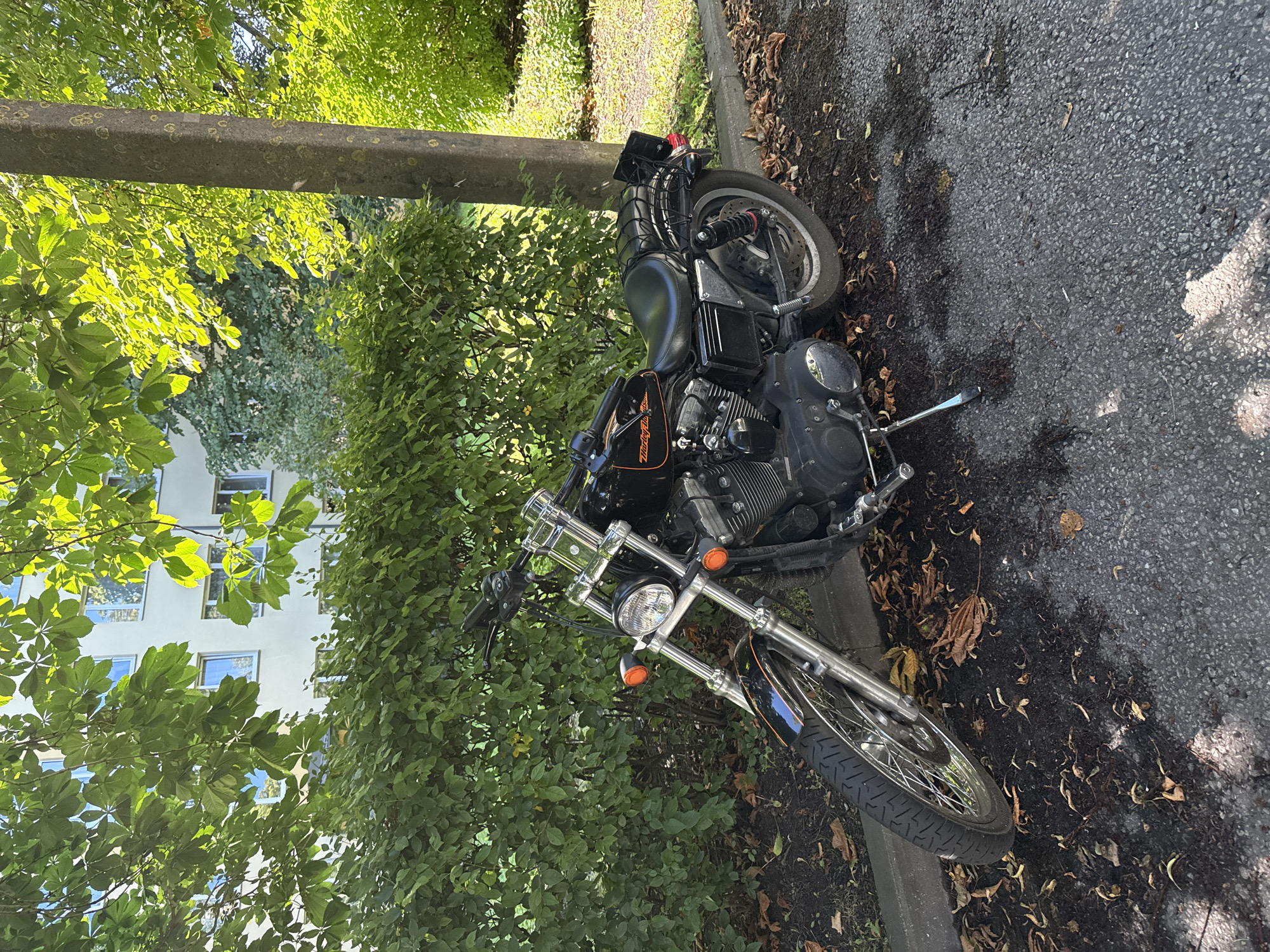 An outdoor, eye-level, medium shot captures a black Harley-Davidson motorcycle parked on the right side of a paved area, close to a concrete curb lined with fallen brown leaves. The motorcycle is positioned at an angle, with its front wheel turned slightly to the left. It features chrome handlebars, a silver headlight, orange turn signals, and a black seat. The Harley-Davidson logo is visible in orange on the fuel tank. Behind the motorcycle, a dense green hedge forms a backdrop, and beyond that, a pale yellow building with multiple windows is partially visible through lush green trees. A textured concrete utility pole stands to the right of the motorcycle. The scene is illuminated by bright sunlight, casting shadows on the ground.