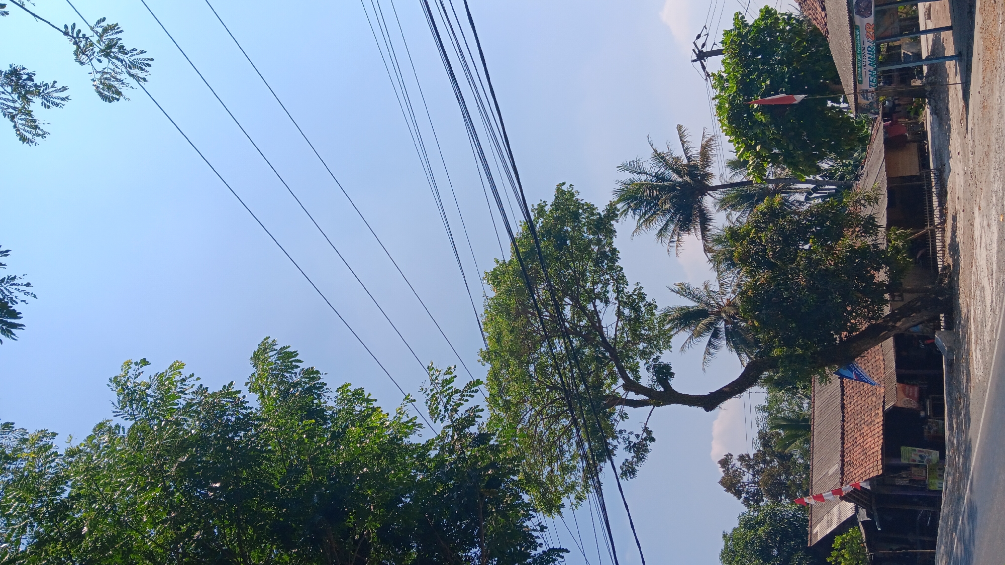 The image captures a roadside scene in Jonggol, Indonesia, under a clear blue sky. Several utility wires stretch across the upper portion of the frame, some draped over the branches of mature trees. In the foreground, a paved road runs horizontally, bordered by a dirt or gravel shoulder. To the right of the road, a series of low-slung buildings with corrugated metal roofs and tiled sections are visible. One building appears to be a small shop or food stall, with a sign displaying text, and another features a prominent red and white Indonesian flag. Various types of trees, including palm trees and leafy deciduous trees, are scattered throughout the scene, with some foliage encroaching on the sky and utility lines. The overall impression is one of a rural or semi-urban environment with typical Indonesian roadside architecture and vegetation.
