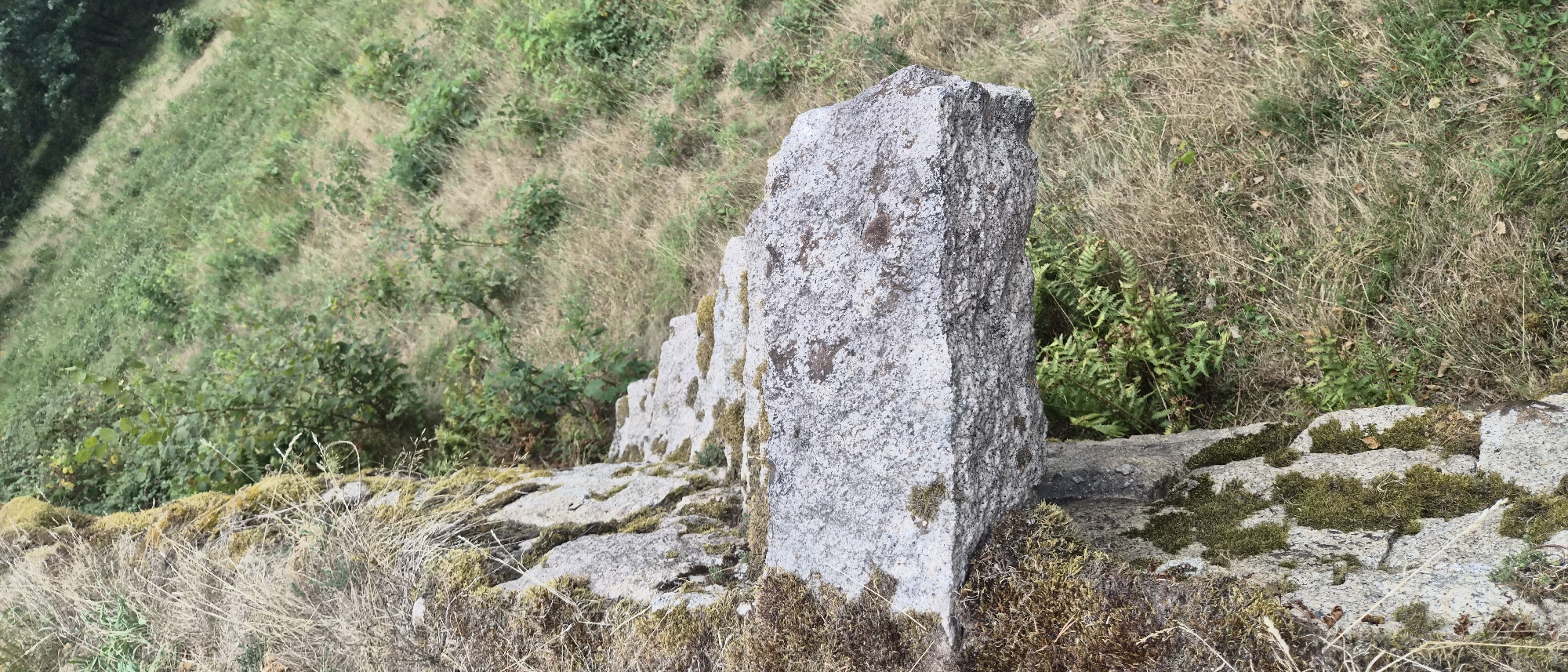 A close-up, eye-level shot focuses on a rough, grey, granite-like rock formation protruding horizontally from a larger, moss-covered stone structure on the left. The protruding rock is flat on top, with a coarse texture and speckled with dark and reddish-brown mineral deposits, as well as patches of green moss. The background slopes downwards and to the right, covered in dry, pale-yellow grass and scattered green vegetation, including some ferns growing beneath the rock overhang. The overall scene appears to be an outdoor, natural environment, likely a rocky outcrop or hillside. The location is identified as the Forbach Germany municipal cemetery, within the historical area.
