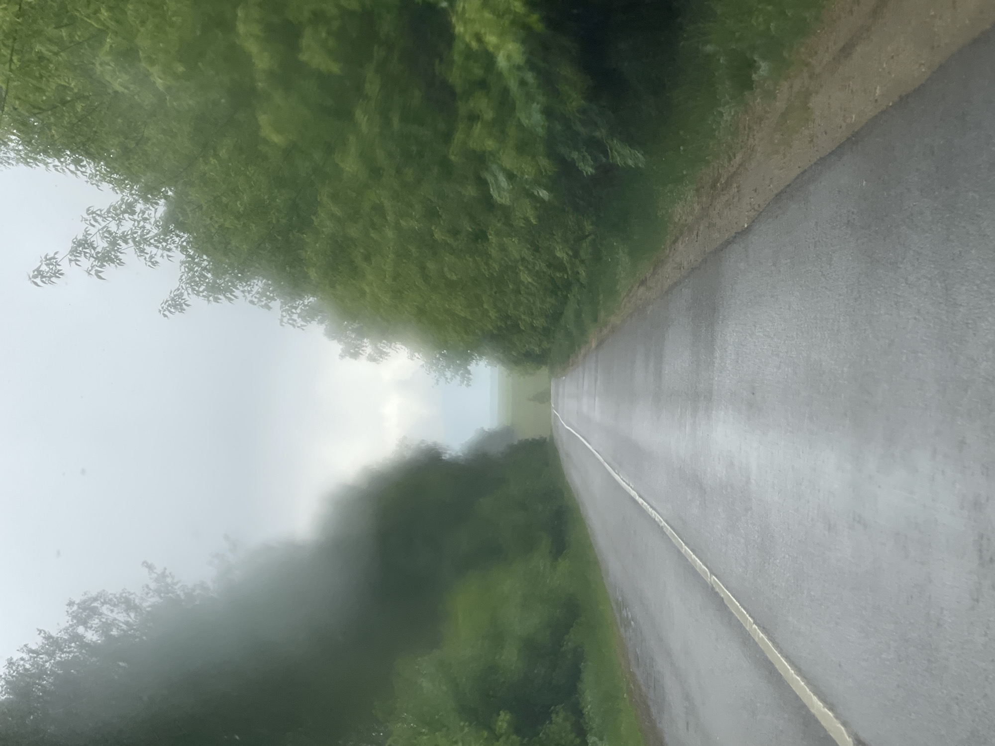 The image shows a view down a straight, wet road, with trees lining both sides. A white dividing line runs down the center of the road. The background is hazy, obscuring details. The location is Петрово, Russia. No people are visible.