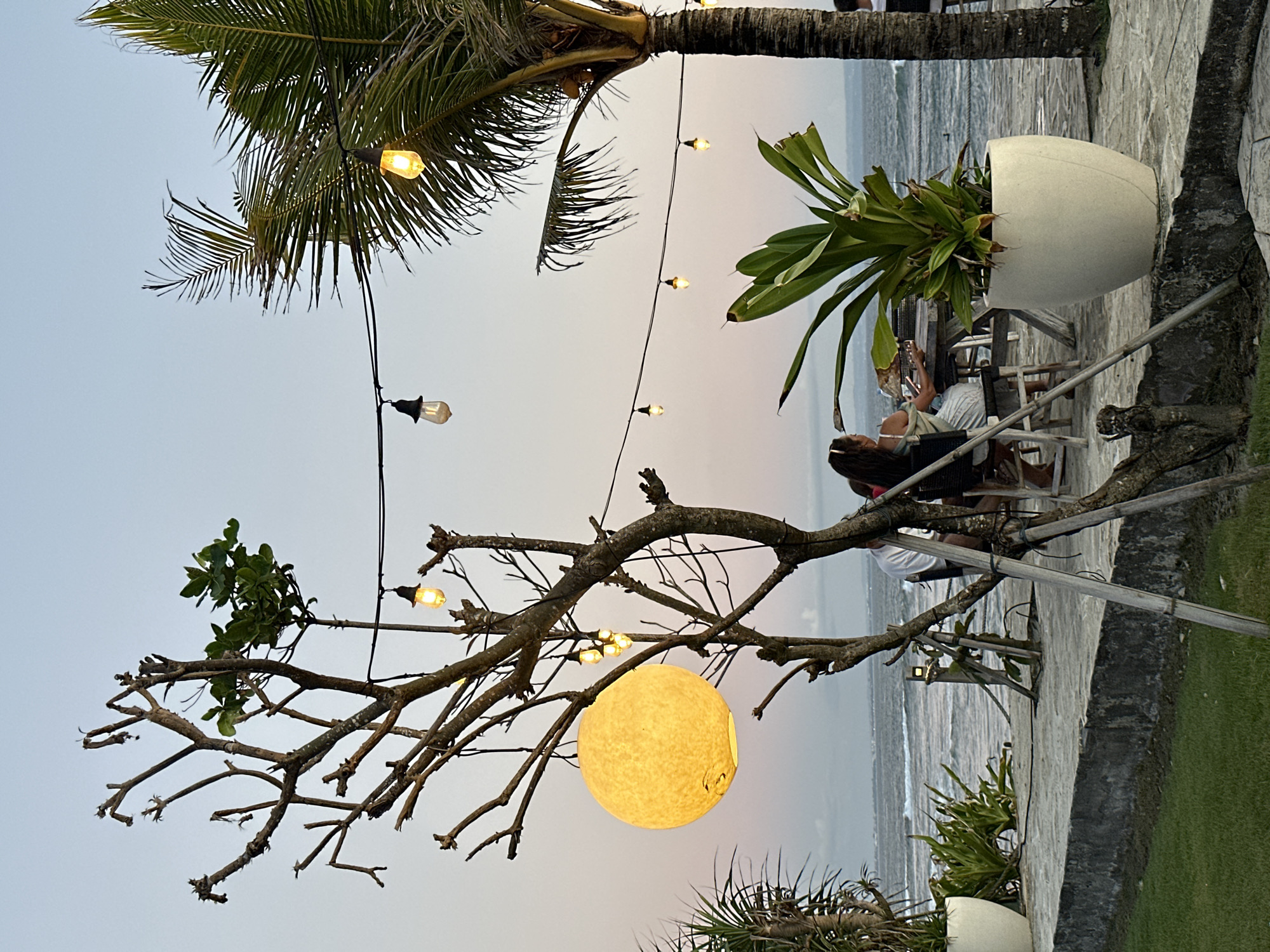 This image captures an inviting outdoor scene at what appears to be a beachfront restaurant or resort during dusk or early evening. The overall ambiance is warm and relaxed, illuminated by artificial lights.
In the foreground, a prominent, bare tree branch extends across the frame, from which a large, spherical, yellow lantern, resembling a full moon, hangs. Above and around this, string lights with glowing Edison-style bulbs are strung, casting a soft, warm glow. Lush palm tree fronds are visible in the upper left and mid-right, contributing to a tropical setting.
In the mid-ground, several people are seated at tables, obscured in detail but appearing to be engaged in dining or socializing. One person in the mid-right is looking down, possibly at a menu or phone. A large, white planter containing a vibrant green plant is situated near the seated individuals.
The background features the ocean, with gentle waves visible under a subdued sky that transitions from light blue to a pale orange-pink, indicating the time of day is either late afternoon or early evening. A paved or stone pathway separates the dining area from the beach and sea. A patch of green grass is also visible in the lower right corner. The scene evokes a sense of leisure and enjoyment in a pleasant coastal environment. No visible text is present in the image.