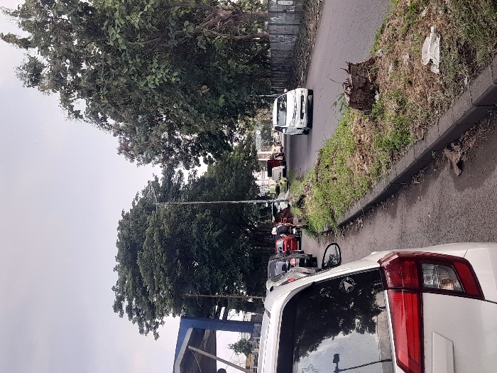 A street view depicts a line of cars in a residential area. Dominating the foreground is the rear of a white SUV. The street is lined with a grassy curb, with trees and other foliage bordering the roadside. A white van is visible further down the street, moving in the opposite direction. The sky is overcast. The image suggests a typical urban environment with moderate traffic.