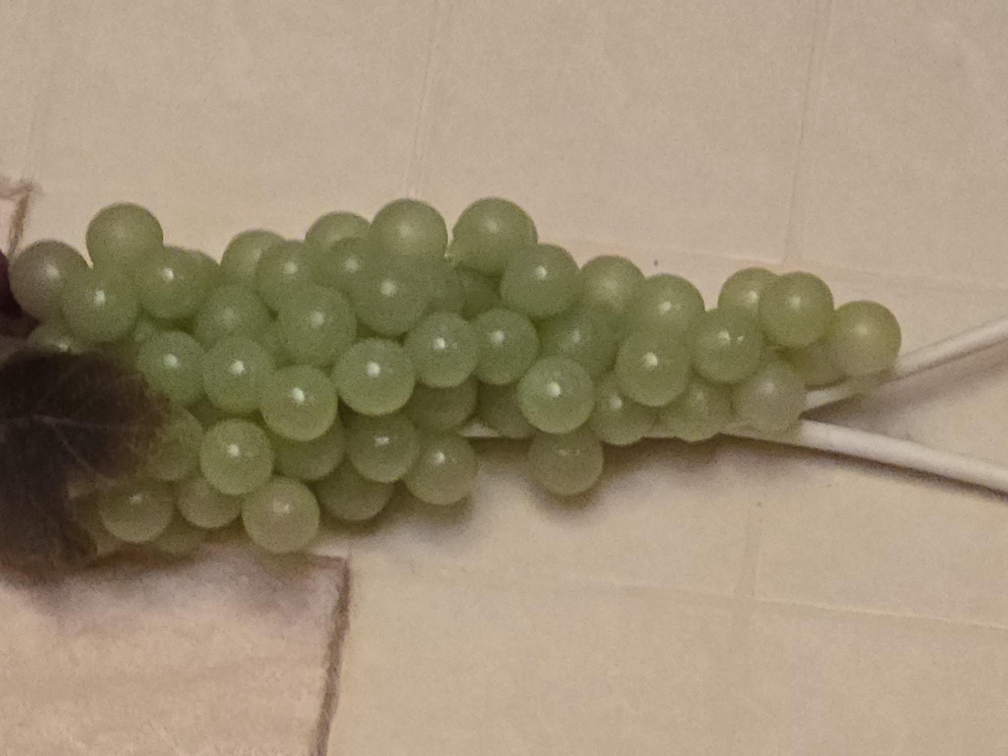A bunch of green grapes hangs vertically against a beige, textured background. The grapes are round and plump, with a subtle sheen that indicates ripeness. Some of the grapes are clustered tightly together, while others hang loosely from the stem. A dark purple leaf is visible at the top of the bunch, adding a touch of color contrast. Two white lollipop sticks are visible at the bottom of the bunch, suggesting that these are decorative grapes or part of a craft. The lighting in the image is soft, casting gentle shadows on the grapes and the background. The overall impression is one of natural beauty and delicate detail, with the grapes appearing as if they are about to be plucked.