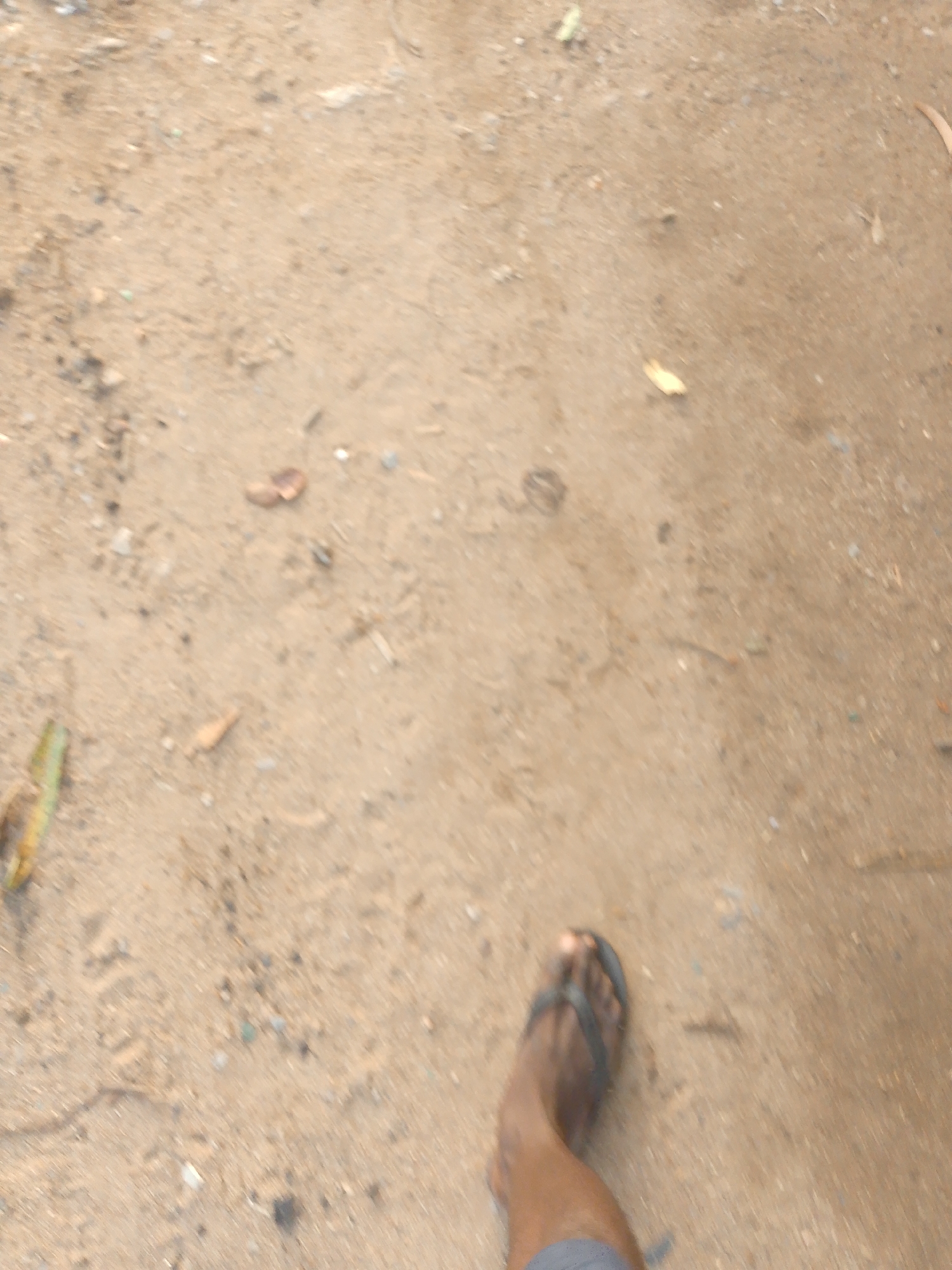A person's foot wearing a dark-colored flip-flop is visible in the bottom right corner of the image, standing on a sandy ground. The ground is a light brown color and appears to be dry with some small pebbles and debris scattered across it. There is a green leaf-like object in the bottom left of the image. The image is somewhat blurred, suggesting it might have been taken while in motion or with a low-resolution camera. The location is described as Unknown, Unknown.