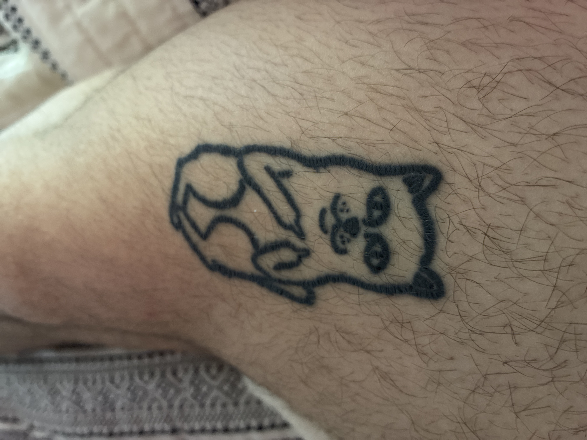 A close-up image shows a tattoo of a cat on a person's leg. The tattoo is executed in black ink, depicting a stylized cat lying on its back with its paws in the air. The surrounding skin is fair and has fine hairs. The background is blurred, showing a patterned fabric. There is no evidence indicating the location is Elhovo, Bulgaria.