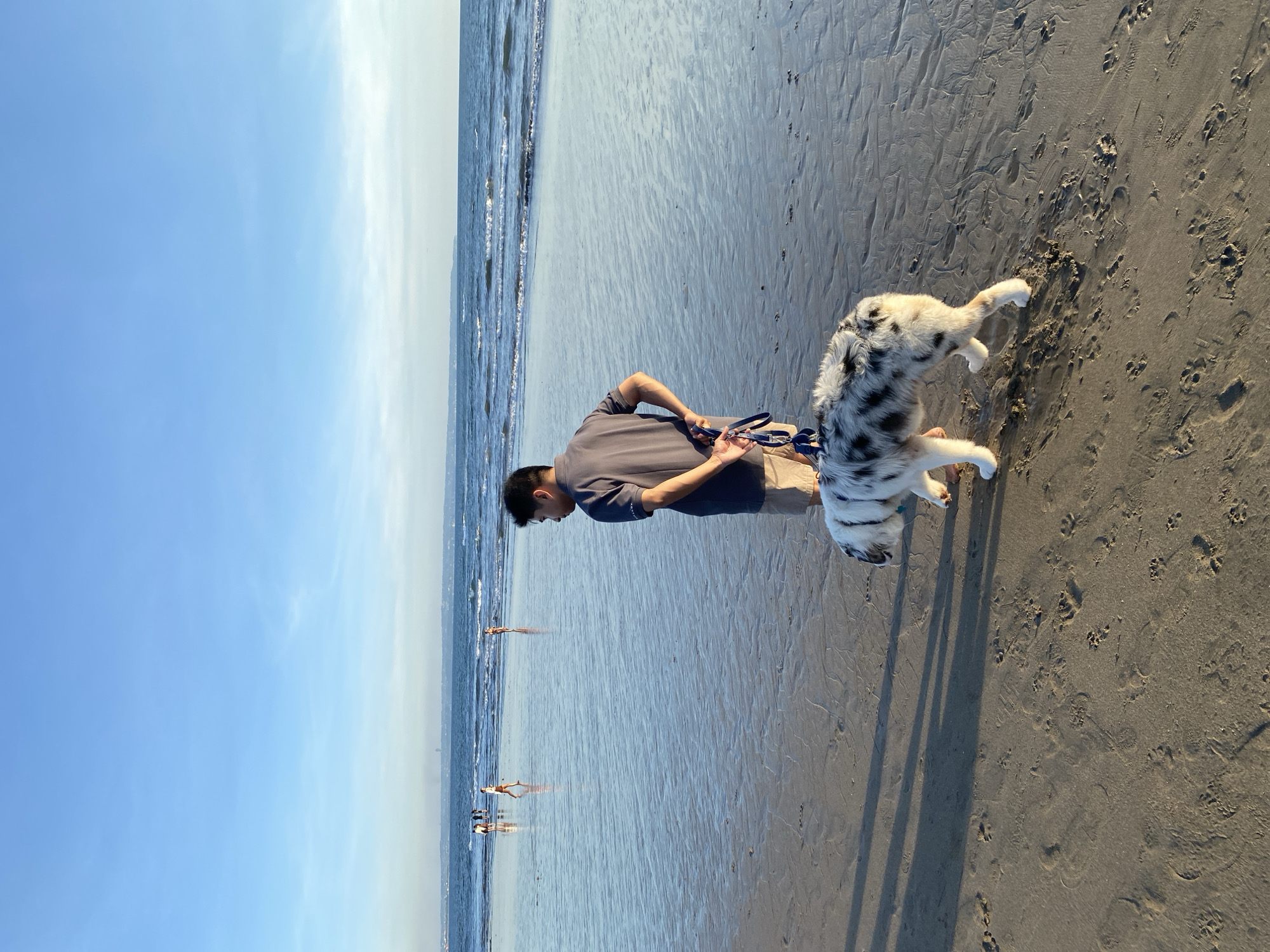 A man stands on a beach beside a dog. The man is holding a leash. The dog is white and black spotted. The beach has wet sand near the water and dry sand further up. The water is visible and there are people standing in the water further in the distance. The sky is blue with some clouds. The image was taken in North Kuta, Indonesia.
