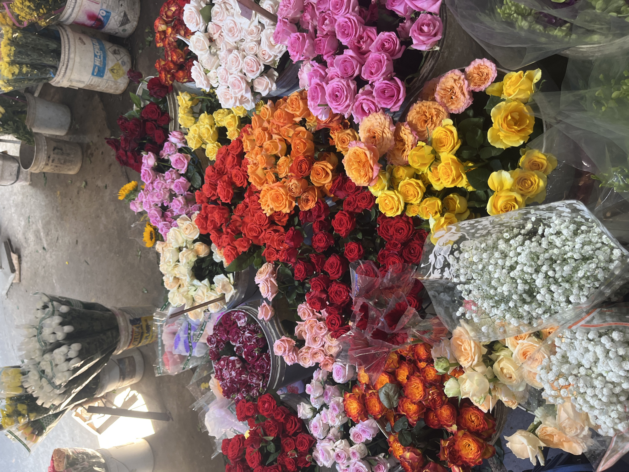 The image shows an outdoor flower market with numerous bouquets of roses in various colors, including red, pink, orange, yellow, and white. There are also bunches of baby's breath. The flowers are arranged in buckets and some are wrapped in clear plastic. In the background, there are additional buckets containing yellow flowers and some greenery. The ground appears to be concrete and there are some sunlight streaks visible. The presence of flower stalls and the types of flowers suggest a local market setting. The reference to Bac Nha Trang Ward, Vietnam, implies this is a scene from that specific location. There are no people visible in the image.