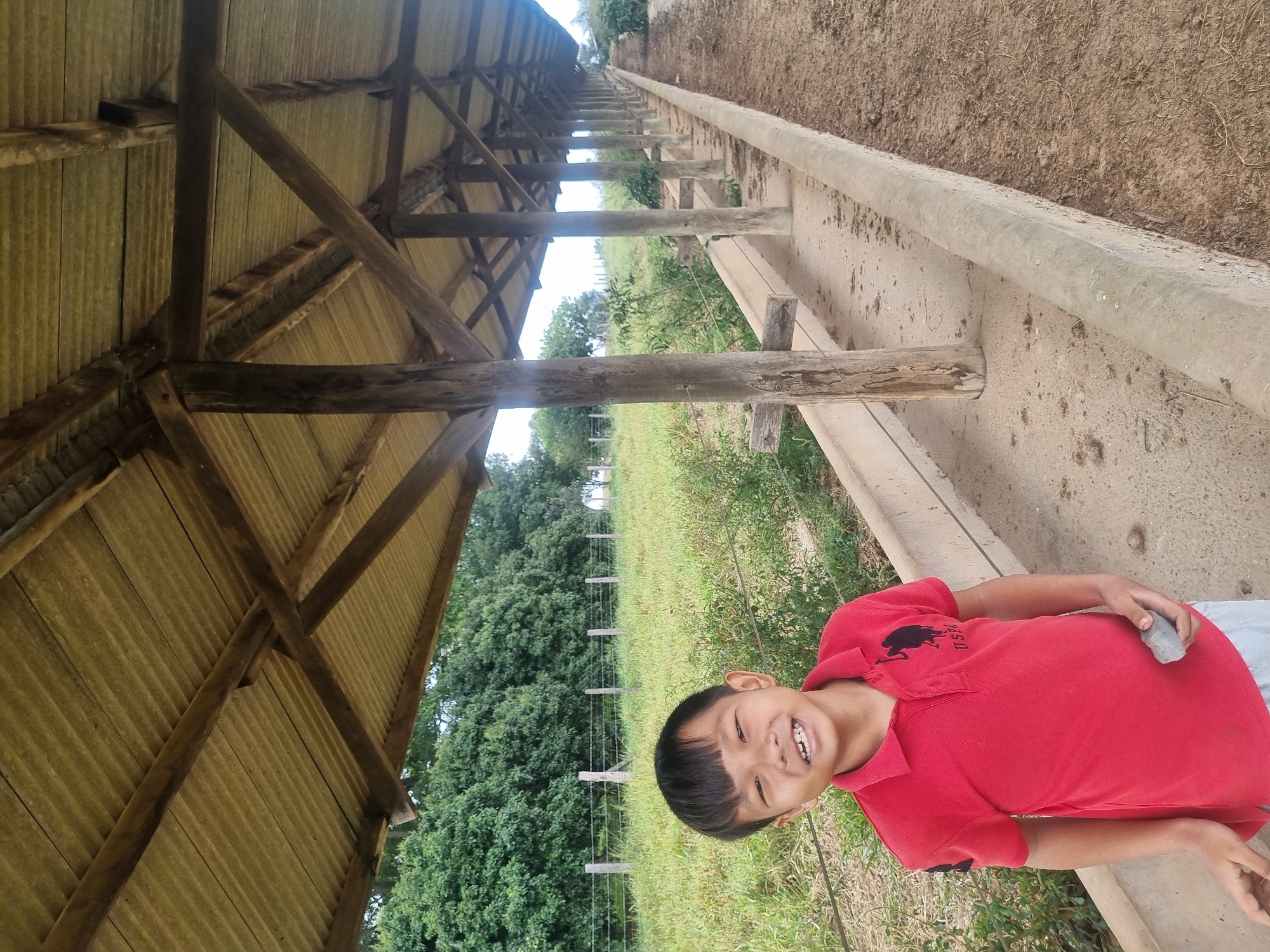 A young East Asian boy, appearing to be around 7-9 years old, stands outdoors in front of a covered structure with a corrugated metal roof supported by wooden beams and posts. He is wearing a red polo shirt with a black horse logo and "USPA" text, and light grey shorts. The boy is smiling and holding a small grey stone in his right hand. Behind him, a grassy field stretches towards a line of trees, with a wooden fence and barbed wire visible. To his right, the covered structure extends into the distance, featuring concrete troughs along the side and a dirt ground. The scene appears to be a rural setting, likely a farm or agricultural area, potentially in the city of Laranjal Paulista, Brazil.