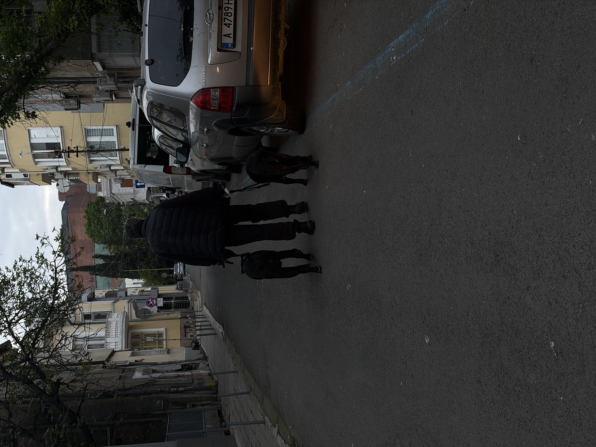 The image shows a street scene in Burgas, Bulgaria. An individual wearing a dark, puffy jacket and dark pants is walking two black dogs on leashes down the street, away from the camera. A silver Hyundai SUV with Bulgarian license plate A 4789 H is parked on the side of the road. Other buildings are visible in the background, including one with yellow facade and white-framed windows. A bare tree branch extends into the frame on the left side. The road surface is asphalt. A blue marking is visible on the road near the parked car.