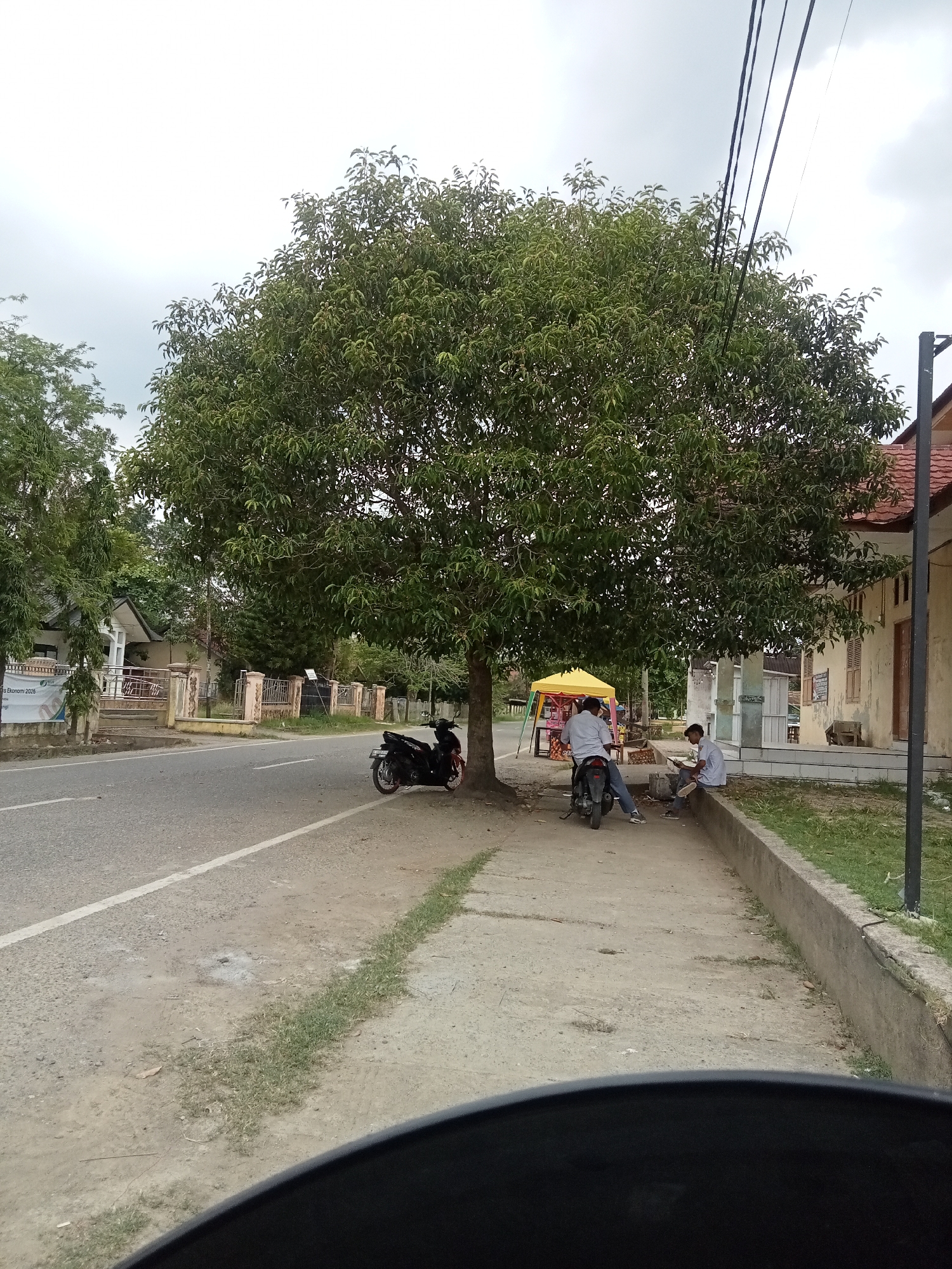 The image depicts a street scene in Kutalhoksukon, Indonesia, under an overcast sky. A large, mature tree with dense green foliage dominates the center of the frame, casting shade. To the left of the tree, a paved road with a white line runs parallel to a dirt and grass embankment. On the embankment, two young men are seated. One man is sitting on a concrete ledge, looking at his phone. Another man is sitting on the back of a parked motorcycle, also looking at his phone. A yellow canopy is visible behind them. To the right of the tree, a building with light-colored walls, tiled roof, and wooden shutters is situated. A dark motorcycle is parked on the side of the road near the tree. The overall environment suggests a quiet, possibly rural or suburban, setting within the city.