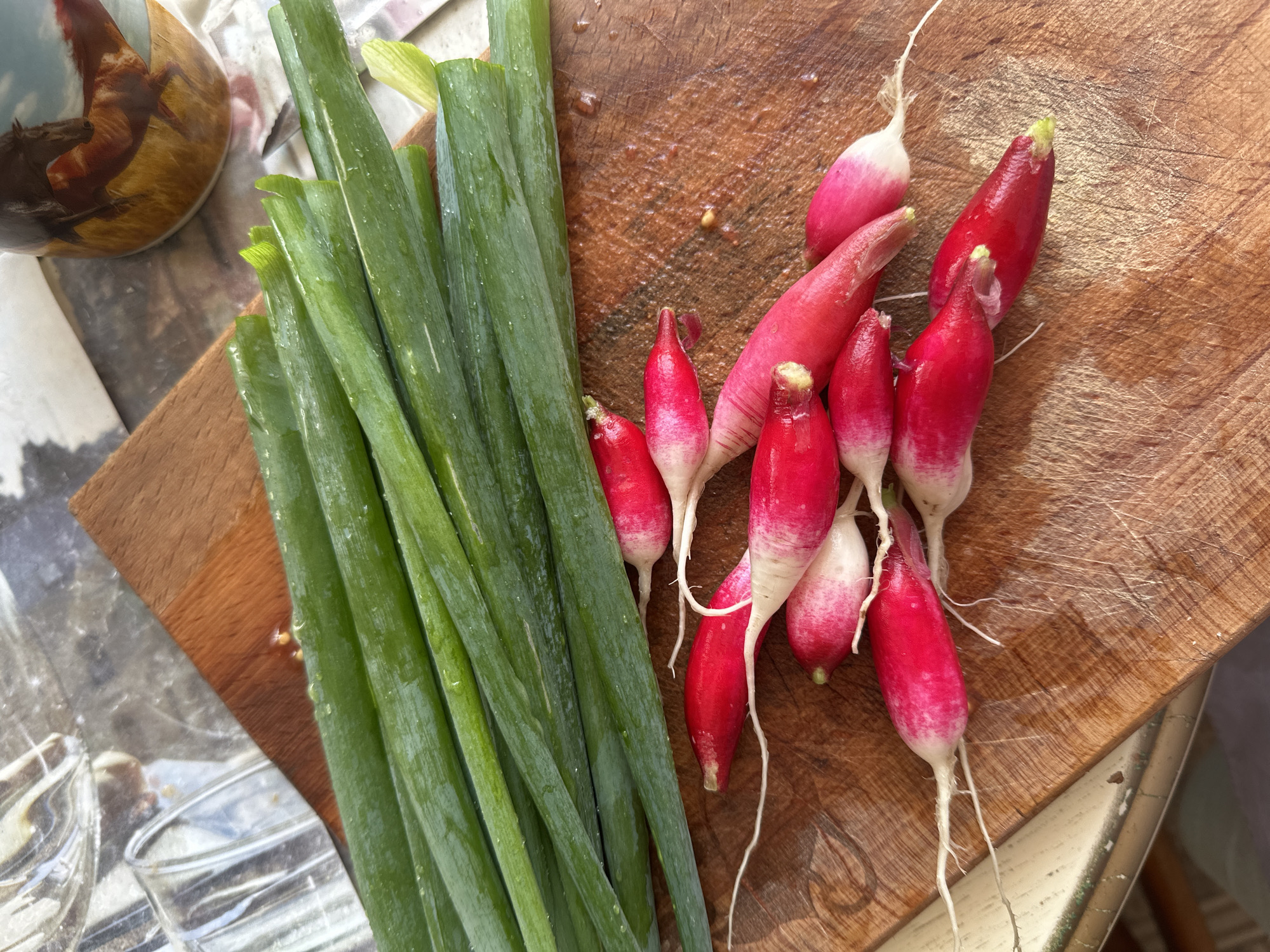 The image displays a close-up, overhead view of fresh vegetables arranged on a wooden cutting board, likely in preparation for a meal. On the left side, a bundle of vibrant green onions (scallions) lies horizontally. Their long, slender leaves are visibly wet with small water droplets, indicating they have been recently washed.
To the right, a cluster of approximately a dozen radishes is scattered on the cutting board. These are primarily a bright, deep red color with distinct white tips, characteristic of French breakfast radishes. Many still have their delicate white root tails attached, highlighting their freshness. Like the green onions, the radishes also exhibit small water droplets on their surfaces.
The wooden cutting board itself is a warm, medium brown hue, textured with numerous fine knife marks and small indentations, suggesting regular use. Patches of water are visible on its surface. In the upper left corner, a portion of a ceramic mug is visible, featuring a detailed illustration of brown and white horses. Parts of other household items, including clear glass or plastic containers, are faintly seen in the out-of-focus background in the lower left.
The scene is well-lit by bright, natural light, suggesting it is daytime. No discernible text is visible anywhere in the image. The arrangement of these freshly washed vegetables on the cutting board strongly implies they are being prepared for cooking or immediate consumption. The location context provided is Yaroslavka, Russia.