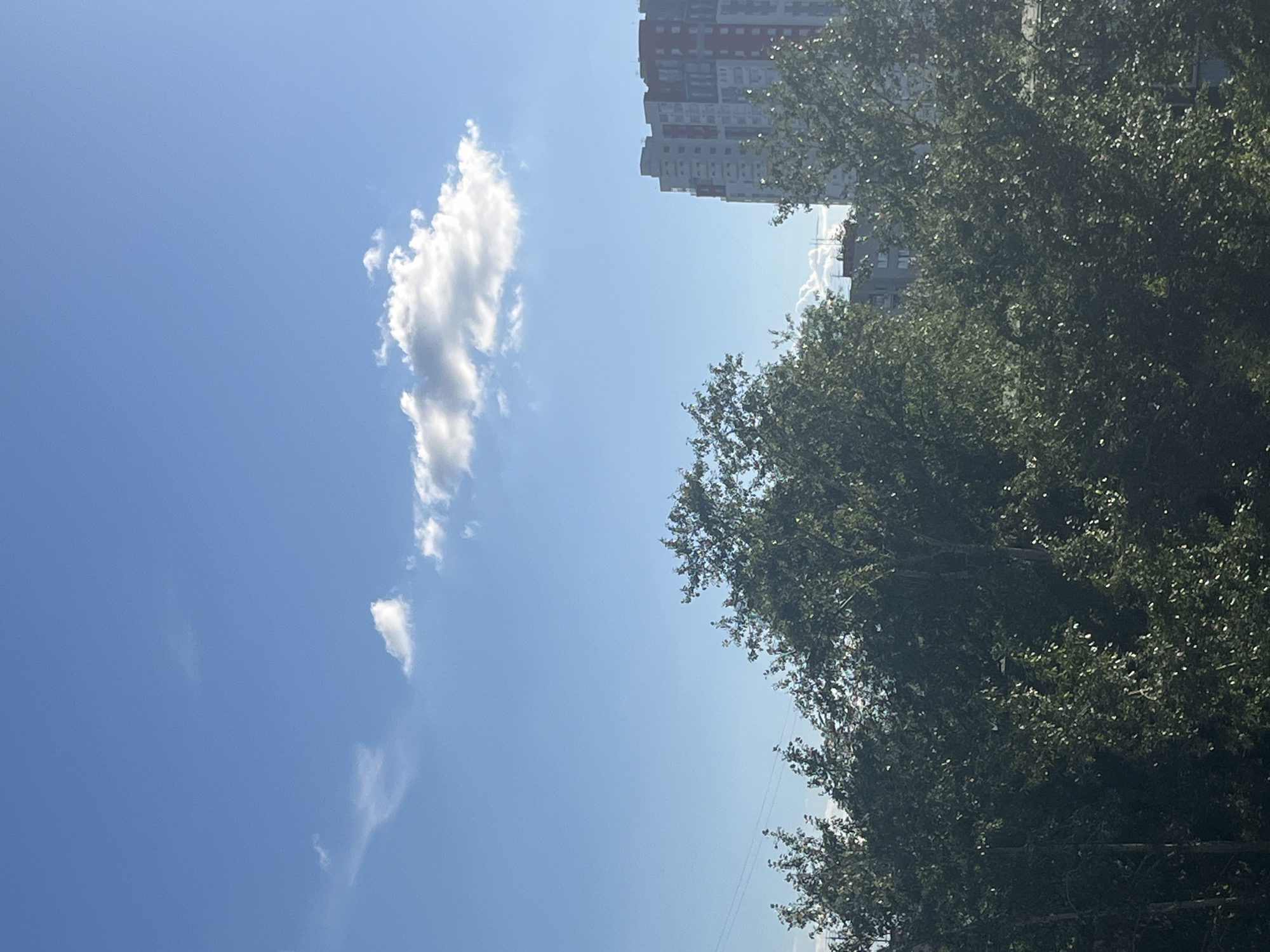 The image depicts a clear blue sky with a few wispy white clouds. On the right side of the frame, lush green trees with dense foliage dominate the foreground, their leaves catching the sunlight. In the background, a tall, multi-story building with a modern architectural design, featuring white and red elements, is visible. The building's facade suggests a residential or office complex. Faint power lines can be seen stretching across the sky in the lower part of the image, indicating an urban or suburban setting. The lighting suggests it is daytime, likely a sunny afternoon. The overall impression is one of a bright, clear day in a city, possibly in Chelyabinsk, Russia, with a mix of natural elements (trees, sky) and man-made structures. There are no people or specific activities visible.