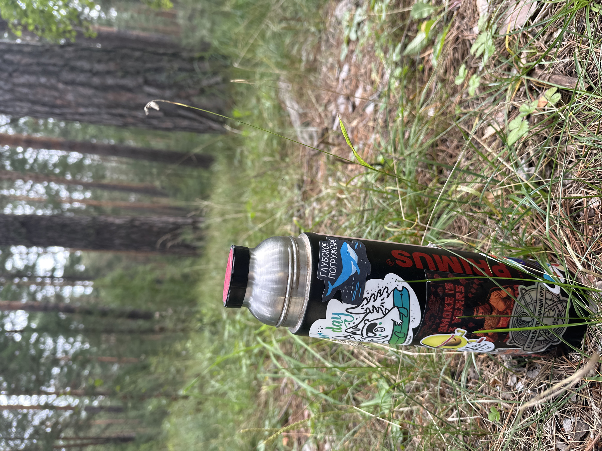 A metal thermos with a red cap sits in the grass in a forest. The thermos is covered in stickers. One sticker depicts a whale with the Russian text "ГЛУБОКОЕ ПОГРУЖЕНИЕ" (Deep Dive). Another sticker shows a cartoon raccoon and trees, with the text "day". A third sticker shows a yellow avocado with sunglasses. Another sticker features Bruce Lee. The thermos has the brand name "PRIMUS" on it in red letters. The ground is covered in pine needles and grass. The background is a blurred forest with tall trees.