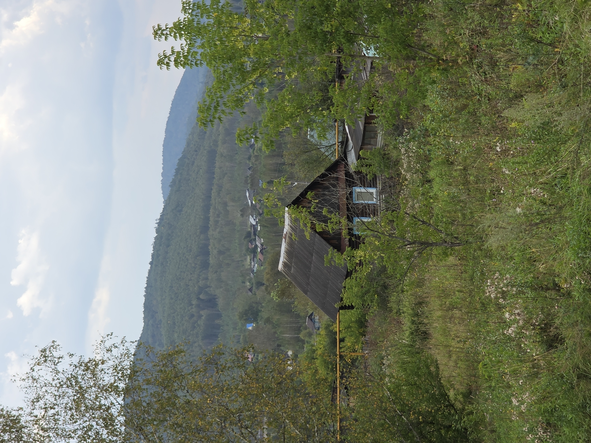 A weathered, dark wooden house with a corrugated metal roof sits partially obscured by lush green foliage. The house has a single blue-trimmed window visible. A yellow gas pipe runs horizontally in front of the house. Beyond the immediate foreground, a village is nestled amongst trees at the base of a verdant, tree-covered mountain range under a cloudy sky. The overall scene depicts a rural dwelling in a mountainous, forested region.