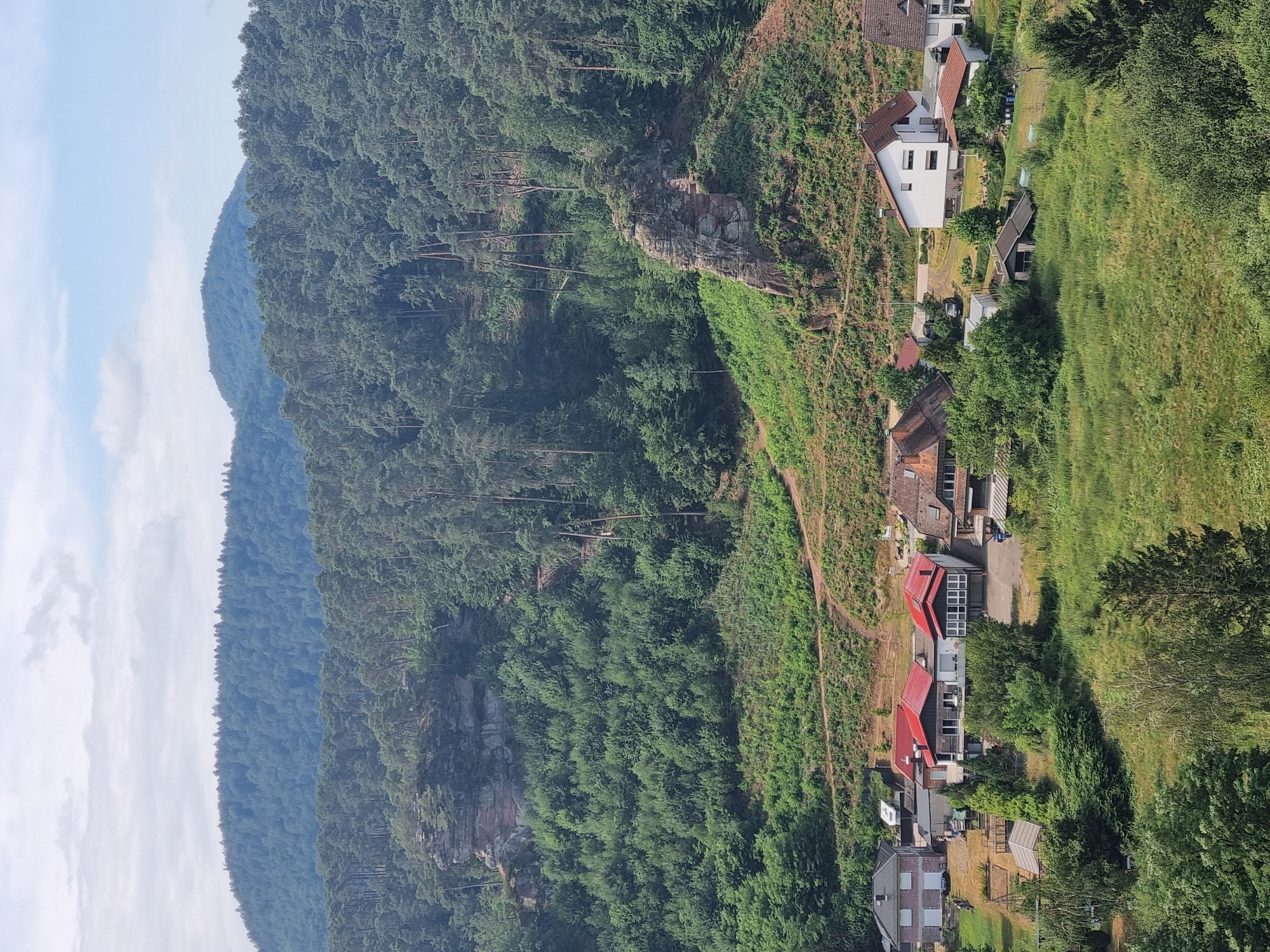 This is a vertical, eye-level, daytime, wide shot of a wooded hillside with a small settlement of houses nestled into the slope, located near Dahn, Germany. The scene is bathed in sunlight, suggesting clear weather.
The left side of the frame is dominated by densely forested mountains, with the trees forming a thick canopy of various shades of green. The slopes are steep, and in the mid-ground, a rocky outcrop juts out from the trees. The right side of the image shows a terraced hillside covered in lush green grass, interspersed with more trees.
Several houses are visible along a winding road that snakes up the hillside. These are modern structures with red or white roofs and a mix of white and grey facades. Some of the houses have balconies and large windows. A few vehicles are parked on the road and driveways. A smaller wooden shed or outbuilding is also present. The overall impression is one of a serene rural or semi-rural setting. The time of day appears to be midday, given the bright lighting and the shadows cast by the trees and buildings. There is no visible text in the image.