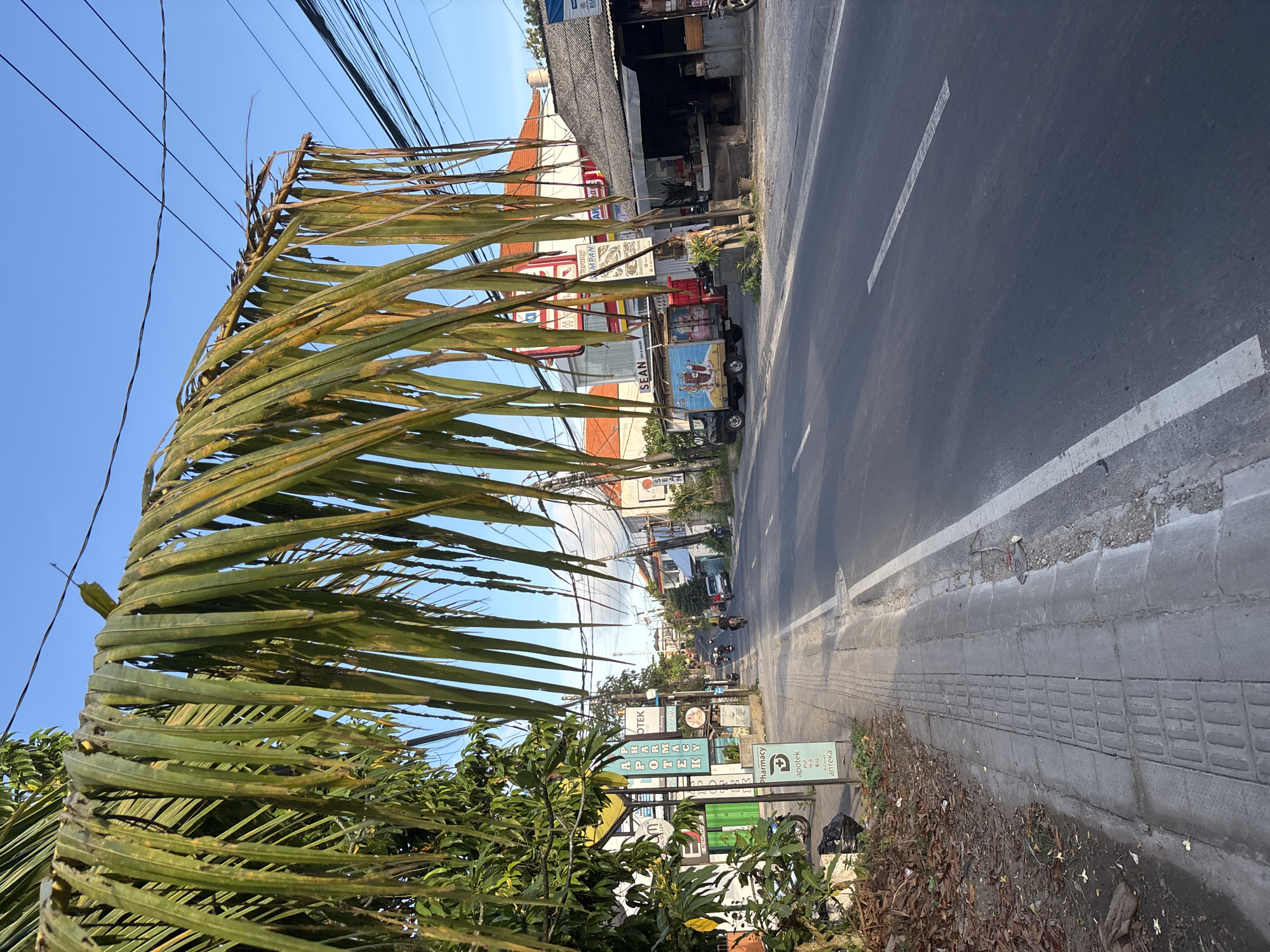 The image captures a street scene in Ungasan, Indonesia. A weathered palm frond dominates the foreground on the left, partially obscuring the view. A paved sidewalk runs along the right edge of the frame, bordering a two-lane asphalt road with white lane markings. Several vehicles, including motorcycles and a small truck, are visible on the road. Buildings and commercial establishments line the roadside, with signs in Indonesian and English visible. Overhead, a network of electrical wires crisscrosses the sky. The sky is a clear, bright blue. The overall impression is one of a typical street in a tropical urban environment.