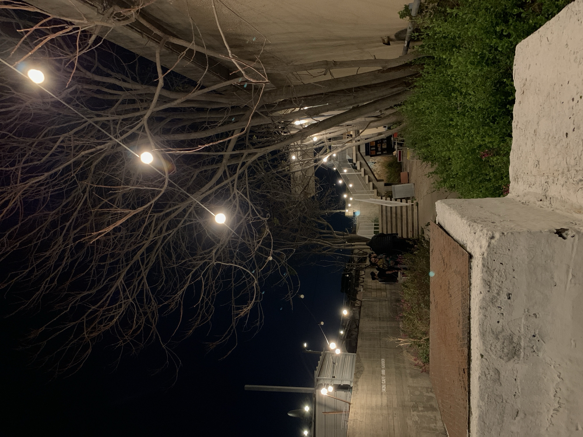 This nighttime image captures an outdoor area of "3426 Cafe and Garden," located at 34 Kibbutz Galuyot Road in Tel-Aviv, Israel.
In the immediate foreground, a white, rough-textured concrete block or wall is visible on the right, supporting a rectangular, rusty metal grate or cover with a grid pattern. Behind this, a patch of green leafy vegetation with hints of small purple flowers is present.
To the left of the vegetation, a horizontal concrete wall, approximately 1.5 meters high, is etched with the text "3426 CAFE AND GARDEN." Above this wall, a low-rise structure with corrugated metal siding is visible, featuring a tall, dark vertical pipe or vent on its left side. Multiple string lights are suspended above this structure, extending across the left background.
Centered in the midground, a group of four individuals is standing near the base of a concrete staircase with white metal railings. One person on the far left wears a dark top. Adjacent to them, another person wears a distinct patterned shirt. The remaining two individuals, dressed in darker clothing, are partially obscured, appearing to be engaged in a social interaction. The staircase ascends towards the upper right. To the right of the staircase, a cluster of approximately ten to twelve tall, bare-branched deciduous trees forms a vertical screen, partially obscuring a light-colored building wall on the far right.
A series of string lights, featuring at least seven illuminated incandescent bulbs, is strung diagonally across the upper portion of the scene, providing warm, diffused light. One of these lights illuminates a small, open bookshelf displaying books, visible near the staircase landing. The entire scene is under a dark, clear night sky.