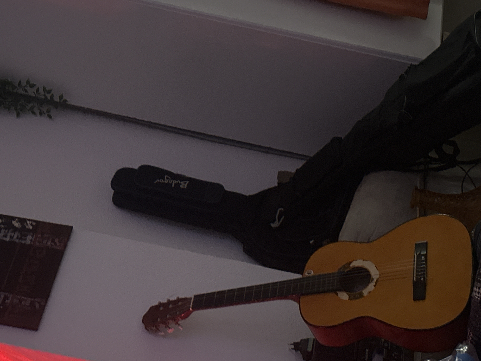 This image depicts an indoor scene, likely a domestic setting, in Haifa, Israel. A classical guitar with a natural wood finish and red detailing on its body rests against a white wall. Beside the guitar is a black guitar case with the brand name "Budeger" visible on it. To the right of the guitar case, a tall, slender object with green leaves, possibly a decorative plant or a floor lamp with foliage, is positioned near the wall. The background shows a corner of the room with muted lighting, suggesting it is either evening or the blinds are drawn. On the upper left, a framed piece of dark artwork hangs on the wall. The overall impression is one of a quiet, personal space dedicated to music or hobbies.