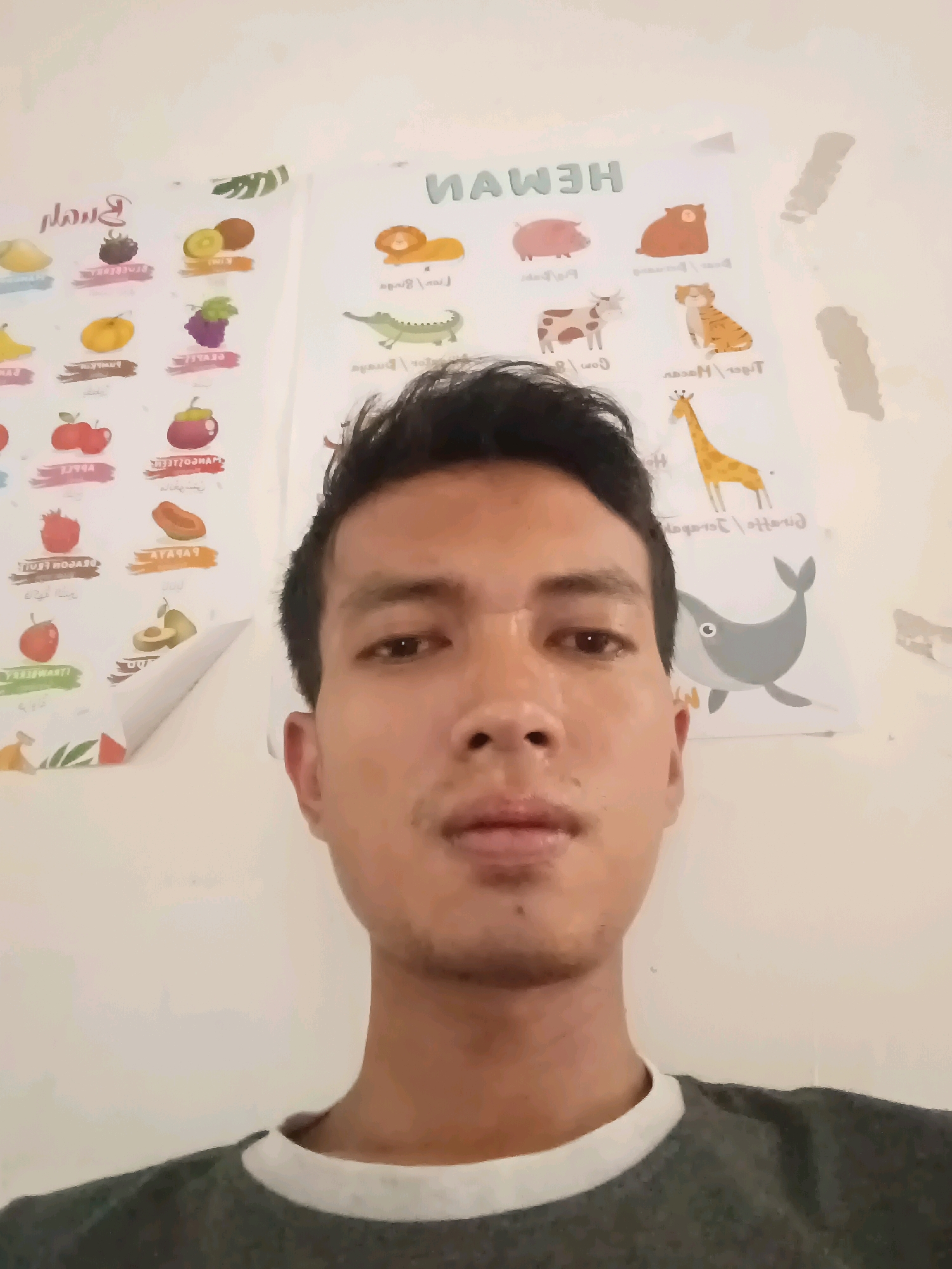 A waist-up, medium shot shows a young Asian male with dark hair and brown eyes, looking directly at the camera. He is wearing a dark grey t-shirt with a white neckline. The background is a plain wall with two posters. The poster on the left features various cartoon fruits like bananas, apples, and grapes. The poster on the right has cartoon animals, including a lion, a pig, a cow, a tiger, a giraffe, and a whale. The posters are in Indonesian, with text like "HEWAN" (animals) and fruit names. The lighting is flat, suggesting an indoor setting. The image appears to be a selfie taken in a residential area.