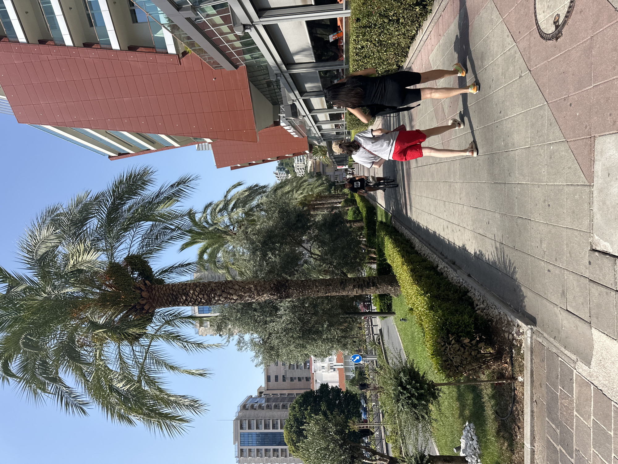 The image captures a sunny day scene along a paved walkway in Budva, Montenegro, likely near the waterfront. Two women walk away from the camera, one wearing red shorts and a grey t-shirt, the other in black shorts and a black tank top. A person on a bicycle is visible further down the walkway, heading in the same direction. The walkway is bordered by lush green hedges and palm trees, with modern buildings, including one with a distinctive reddish-brown facade, visible in the background. Cars are parked along a street to the left, and several other buildings, some with balconies, are scattered across the cityscape. The overall impression is one of a vibrant, urban environment with a Mediterranean feel.