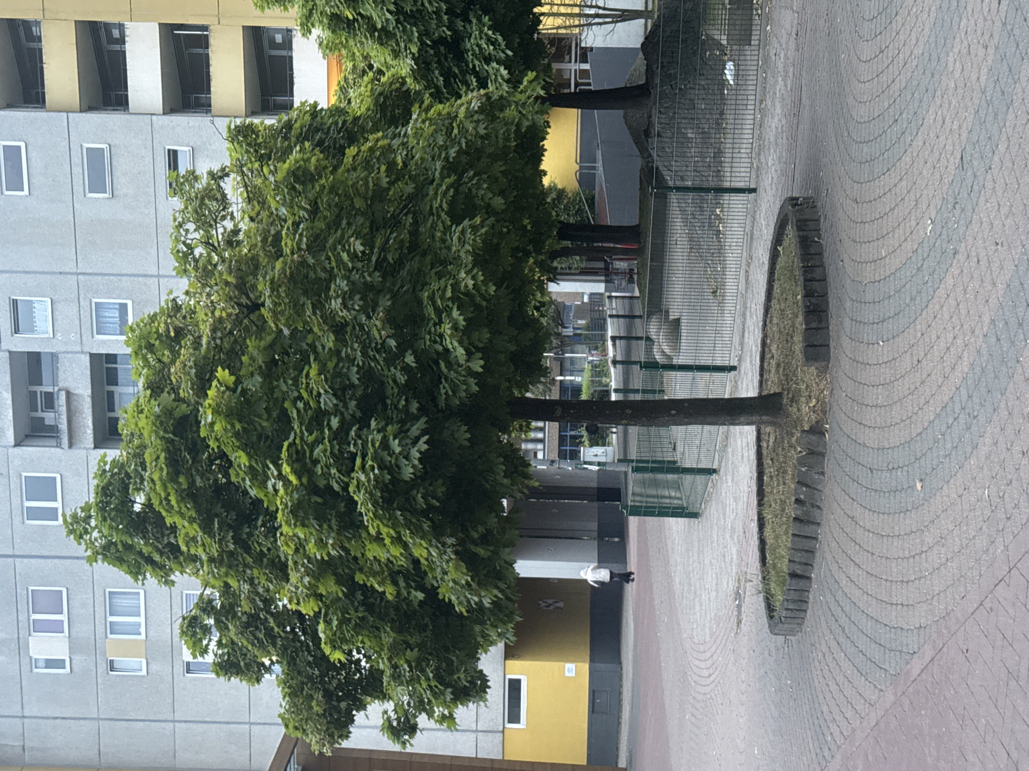 The image captures an outdoor urban scene in an unknown city. In the foreground, a paved walkway with a circular pattern of interlocking bricks curves towards the right. A single tree with dense green foliage stands in the center of the walkway, enclosed by a low border of vertical wooden posts. Beyond the tree, a metal fence with green mesh encloses an area with a pile of dark gravel and some rounded rocks. In the mid-ground, a person wearing a white hooded jacket and dark pants walks away from the camera towards a yellow and gray building structure with an arched entryway. In the background, multi-story apartment buildings with light gray and yellow facades are visible, featuring numerous windows and balconies. The lighting suggests an overcast day.