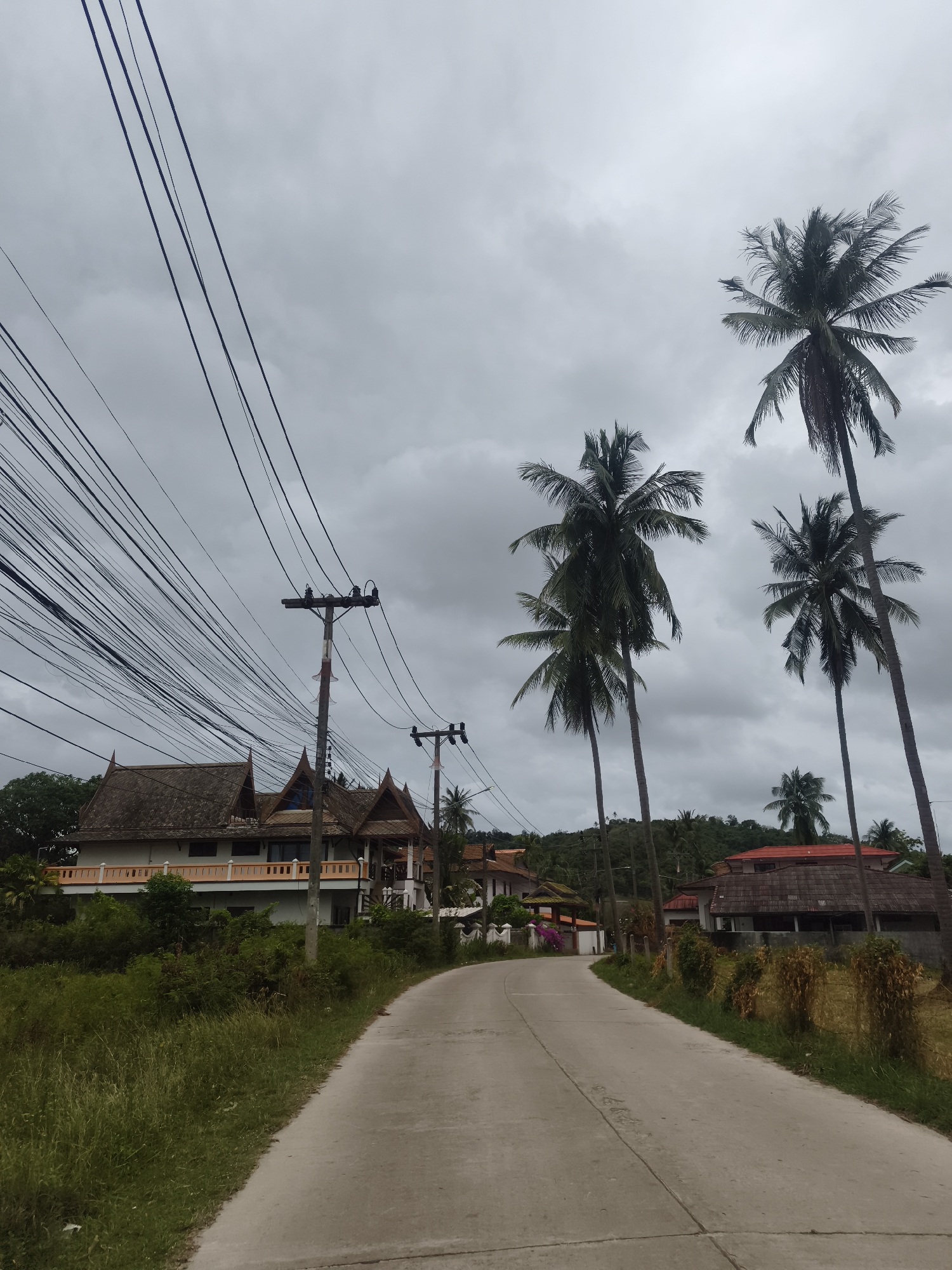 This is a medium-shot, eye-level, vertical photograph of a paved road curving through a rural area in the city of Ko Samui District, Thailand. The sky is overcast with gray clouds. On the left side of the road, a white building with ornate brown thatched roofs and an orange balcony is visible, surrounded by dense green foliage. Several utility poles with a tangled mass of black wires run along the left side of the road, extending towards the top left corner of the frame. On the right side of the road, there are several tall, slender palm trees with green fronds, and some smaller buildings with tiled roofs. The road itself is concrete and appears to be in good condition, with faint lines indicating separate lanes. The overall scene depicts a tropical, somewhat remote, residential area.