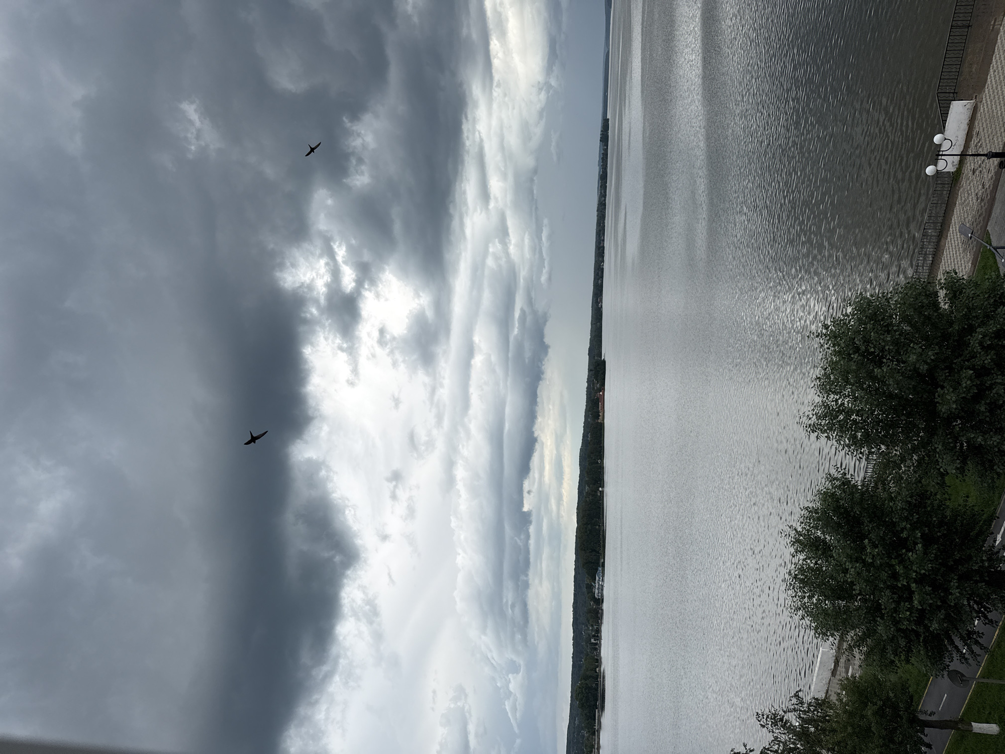 This image depicts a cloudy, overcast sky over a wide body of water, likely a reservoir or large lake. In the foreground, there are trees and a paved walkway with a lamp post. The water extends to the horizon, where a tree-lined shore with some buildings is visible. Two birds are silhouetted against the dramatic, dark clouds in the sky. The scene suggests a cool, possibly damp, day in Votkinsk, Russia, a city known for its picturesque location on the Votkinsk Reservoir.