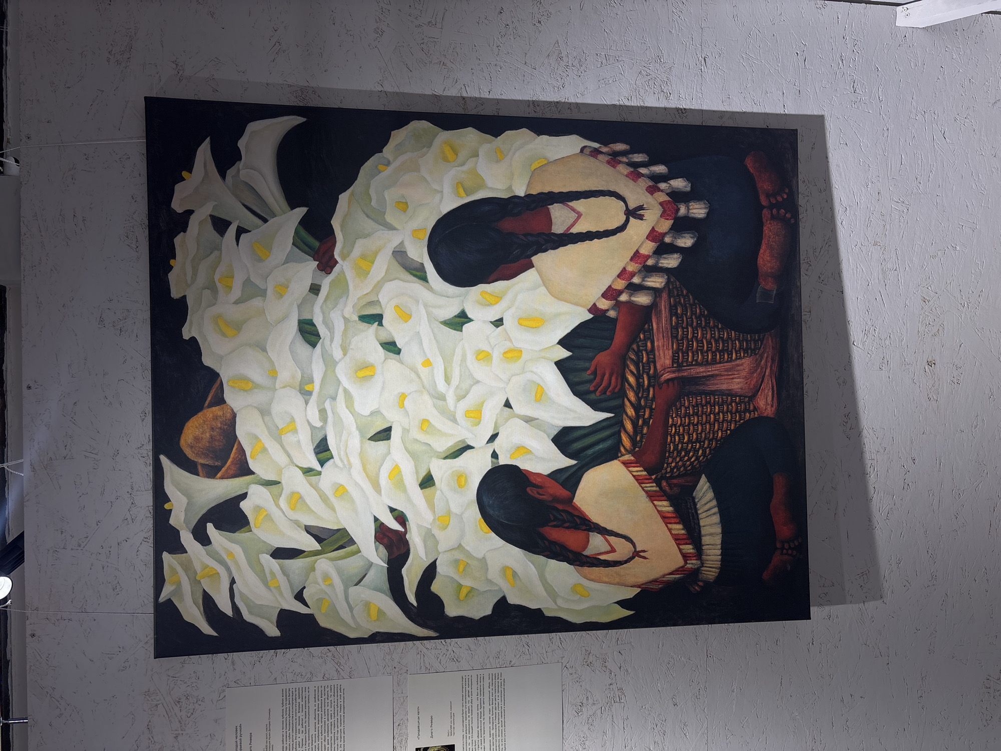 The image shows a framed painting titled "Prodavshchitsy kall," likely "Calla Lily Vendors," by Diego Rivera, on display at an art gallery in Krasnoyarsk, Russia. The painting depicts two figures, presumably indigenous women, surrounded by a profusion of white calla lilies. The women have dark hair styled in braids and wear traditional clothing. One woman is seen carrying a large basket. The painting is mounted on a wall with textual descriptions underneath. The background features the gallery's neutral-colored wall.