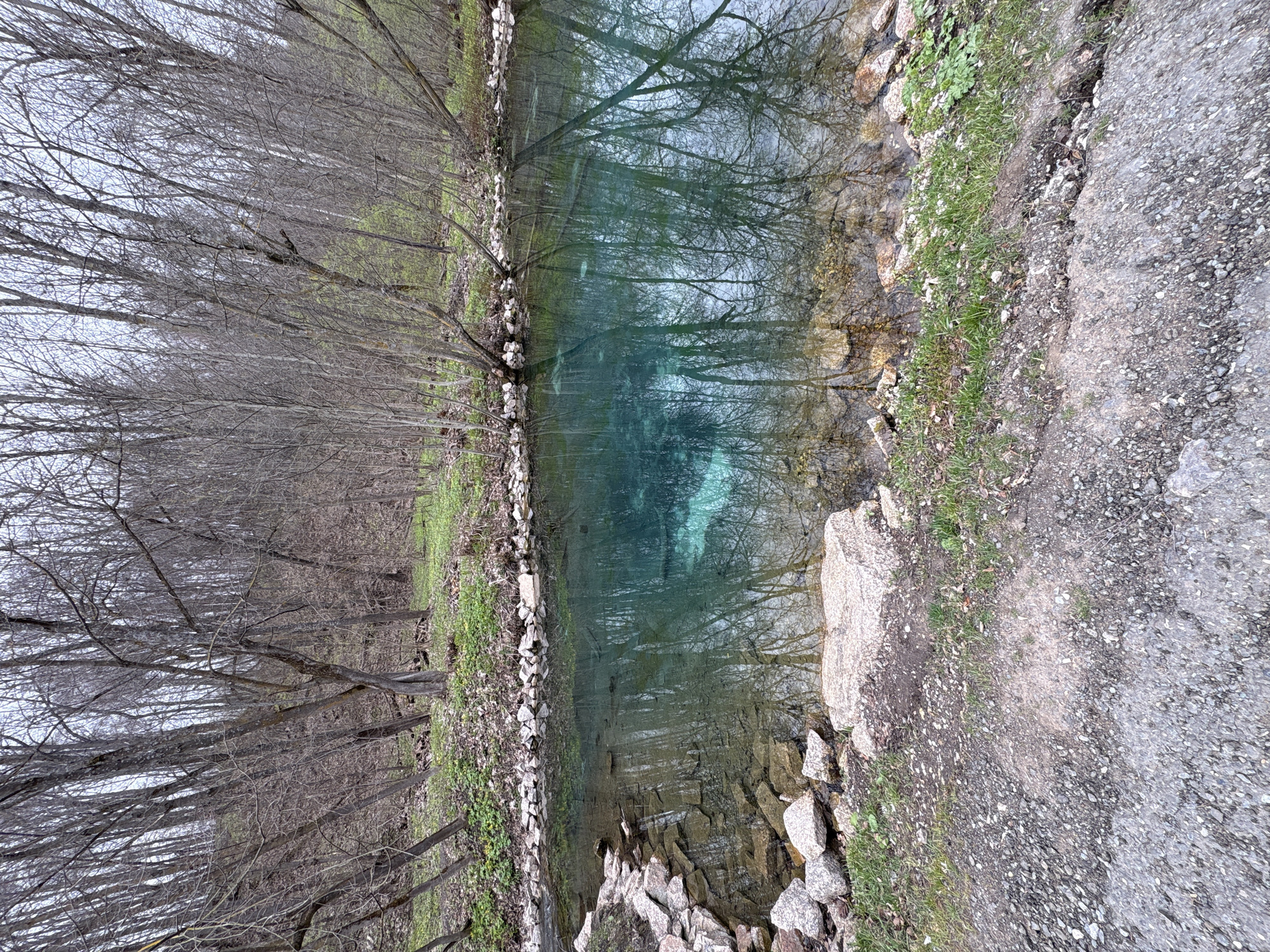 A landscape photograph, shot at an angle, depicts a body of water with trees on one side and a rocky bank and path on the other. The water is a clear blue-green, reflecting the bare tree branches above. The trees on the left side of the frame are thin and bare, indicating a dormant season. There is sparse green vegetation at the edge of the water. On the right, a rocky embankment transitions into a gravel path. The photograph’s location may be in the city of Sdt Shcherbakovka, Russia. No people or animals are visible.