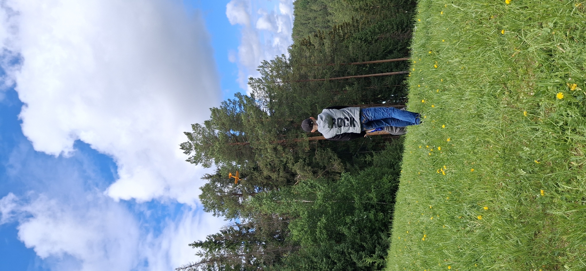 A medium shot, rotated ninety degrees counter-clockwise, captures a person, likely a young male, standing on a grassy field. The individual is wearing a grey hooded sweatshirt with the word "ROCK" printed on the back, blue jeans, and a baseball cap. The person appears to be controlling an orange remote-controlled airplane that is flying amidst the trees.
Behind the person and the plane is a backdrop of dense trees, possibly a forest, and a sky filled with fluffy white clouds and patches of blue. The grassy field in the foreground is dotted with yellow dandelions.
Given the prompt's location information, this scene is presumably located in Прикамский, Russia.