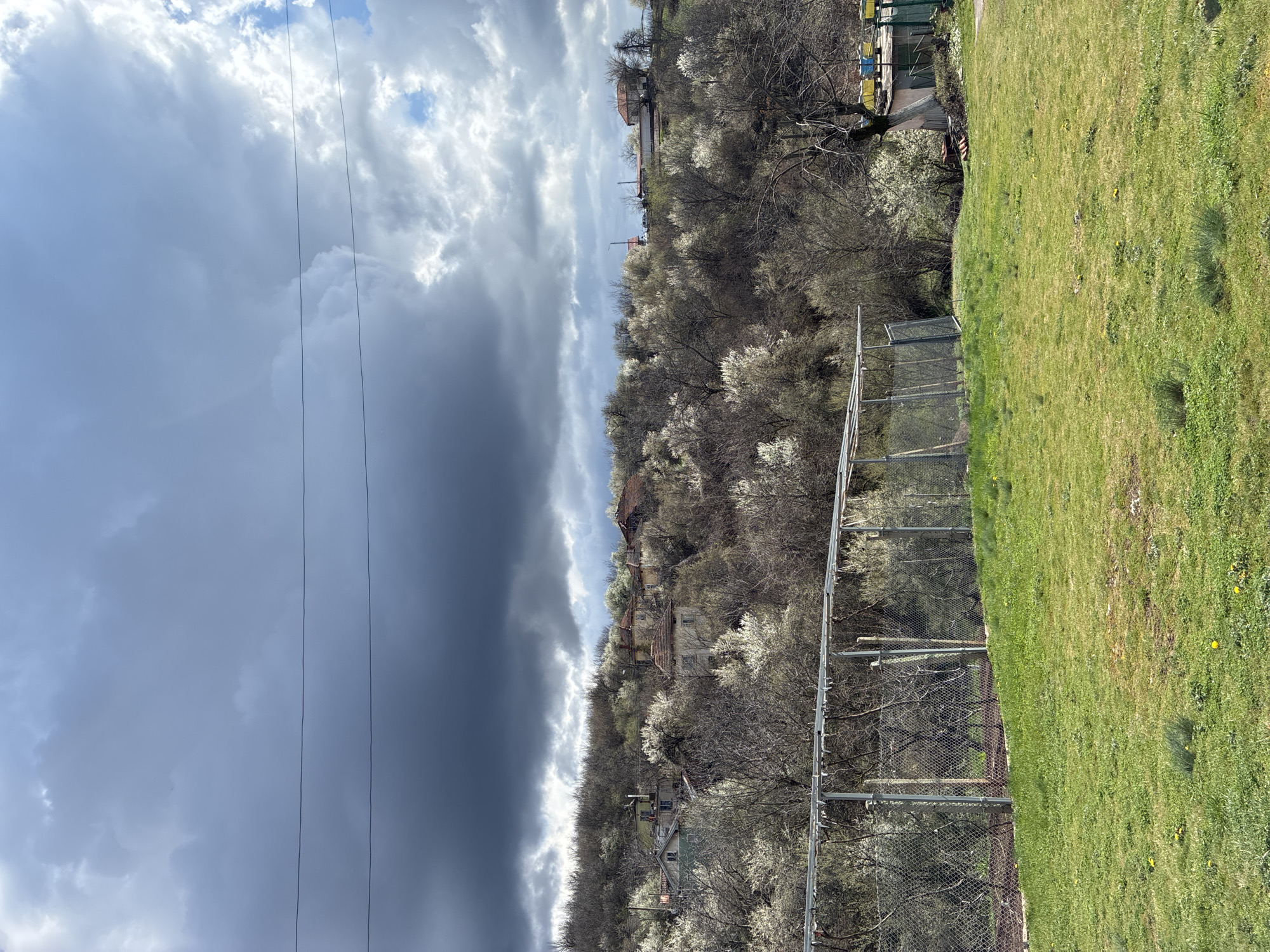 The image depicts a rural landscape in Bokilovtsi, Bulgaria, under a sky dominated by heavy storm clouds on the left, contrasting with brighter, cloudier skies on the right. A hill is covered in trees, many in bloom with white flowers. Several houses with red tile roofs are visible among the trees. In the foreground, a chain-link fence runs along the edge of a grassy field. Power lines stretch across the left side of the sky. There are no people visible in the image.