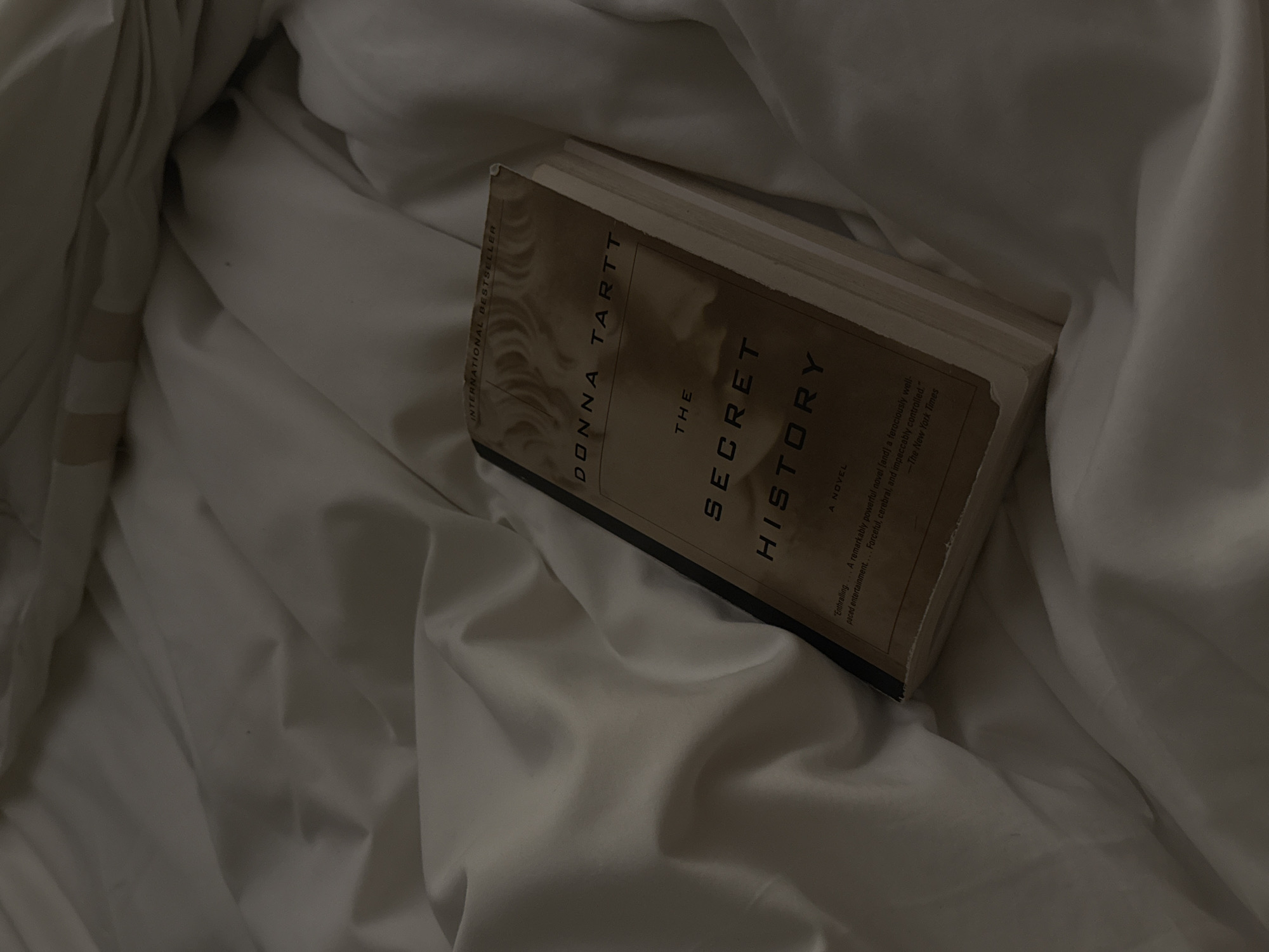 A book titled "The Secret History" by Donna Tartt lies open on a rumpled white sheet. The book is positioned at an angle on the sheet, with its spine facing upwards. The cover of the book is a light brown color with darker brown text. The words "INTERNATIONAL BESTSELLER," "DONNA TARTT," "THE SECRET HISTORY," and "A NOVEL" are visible on the cover. There are also lines of text below "THE SECRET HISTORY" which appear to be quotes. The sheets are wrinkled and folded, creating shadows and highlights across the scene. The lighting is dim and appears to be coming from above and to the right of the book. This image does not depict any location in Ciudad de México, Mexico.