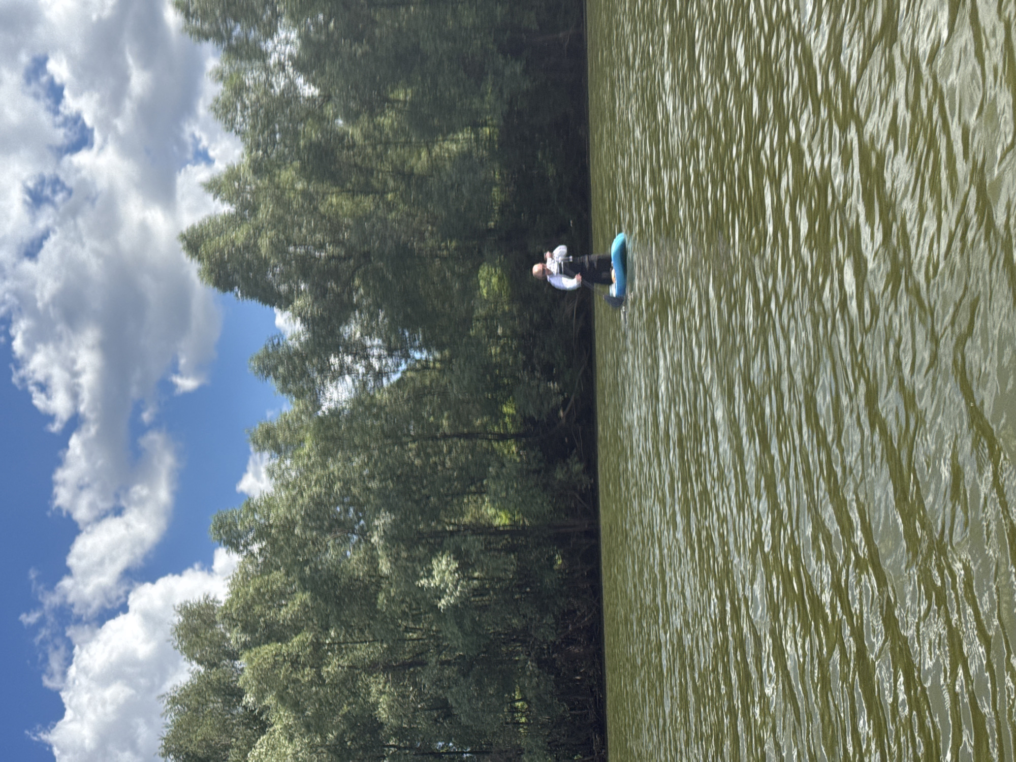 A single person is paddleboarding on a body of water. The person is bald and wearing a white long-sleeved shirt and dark shorts, standing on a blue paddleboard with a paddle. The water is calm with small ripples and has a greenish-brown hue. In the background, a dense line of green trees forms a shoreline. Above the trees, a bright blue sky is dotted with fluffy white clouds. The scene appears to be a natural outdoor setting, likely a river, lake, or bay, not within the urban core of Novosibirsk but potentially in its surrounding natural areas or parks.