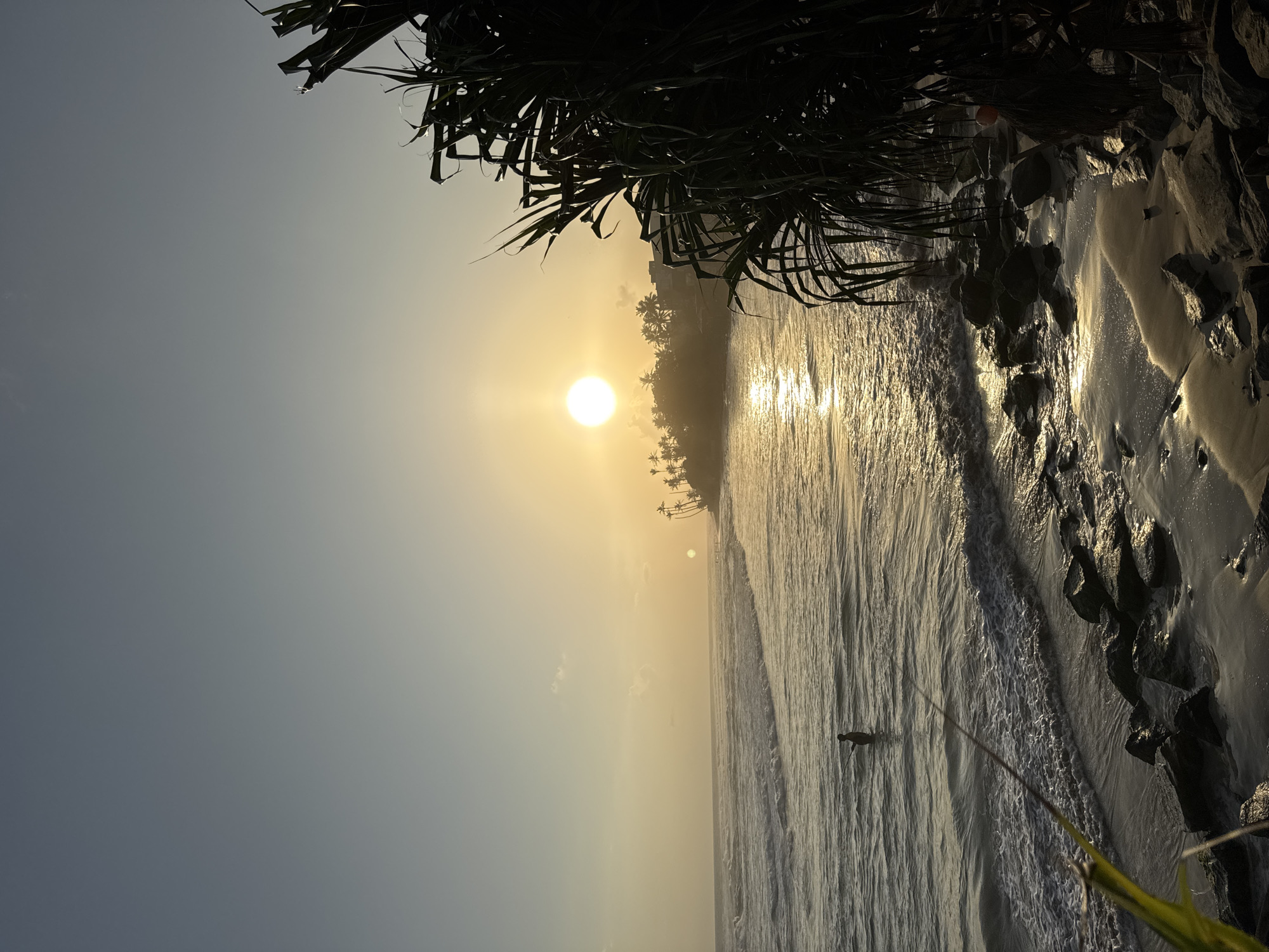 The image depicts a serene beach scene in Ahangama, Sri Lanka, at sunset. The sun, a bright orb, casts a warm golden glow across the sky and reflects on the gently undulating ocean waves. In the foreground, lush, dark green foliage frames the right side of the composition, with its spiky leaves reaching towards the sky. The shoreline is a mix of wet sand and dark, rounded rocks, glistening with reflected light. In the middle ground, a lone figure stands in the shallow water, facing away from the viewer and towards the setting sun, appearing to be engaged in fishing. Further in the distance, a coastline is visible, dotted with silhouetted palm trees and buildings, suggesting the presence of a coastal town or resort. The sky transitions from a pale blue at the top to a soft yellow hue near the horizon, creating a tranquil and picturesque atmosphere.