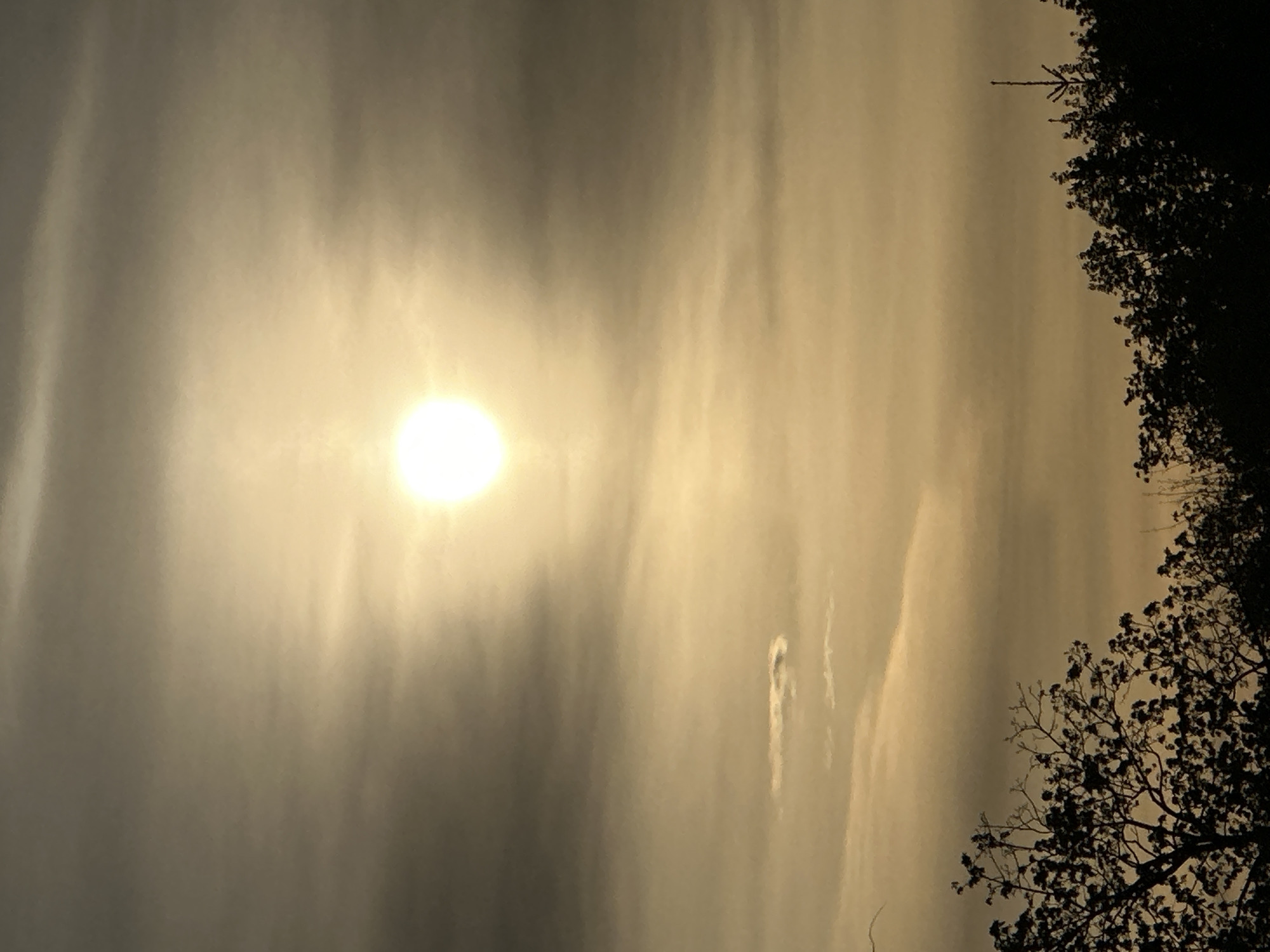 The image shows a view of the sun shining through clouds. Silhouetted trees are visible in the foreground. The image is oriented vertically. The specific location in Nizhny Novgorod, Russia, cannot be determined from the image alone.