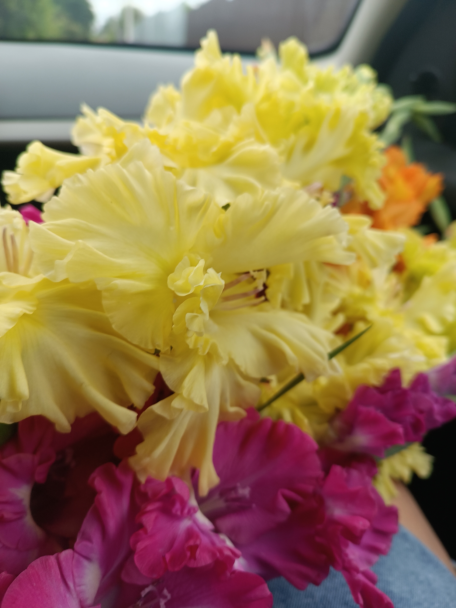 Memory