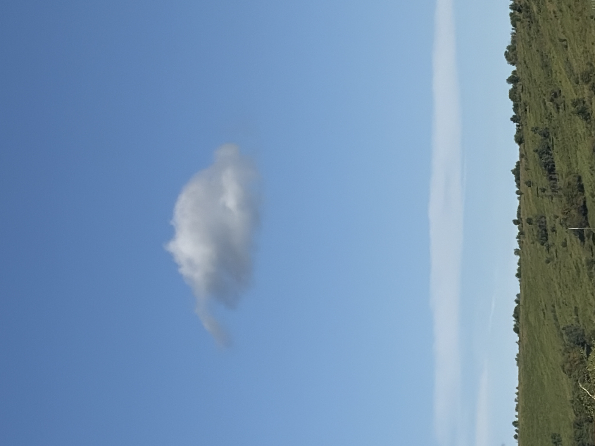 A single, small, fluffy white cloud is centered in a vast expanse of clear blue sky. Below the sky, a gently rolling green hillside is visible, sparsely dotted with scattered trees and shrubs. A faint, thin, horizontal cloud formation stretches across the horizon, just above the hilltop. The scene appears to be a rural or undeveloped area, with no signs of urban structures or human activity. The lighting suggests it is daytime, likely midday, given the brightness of the sky and the clear visibility of the landscape.