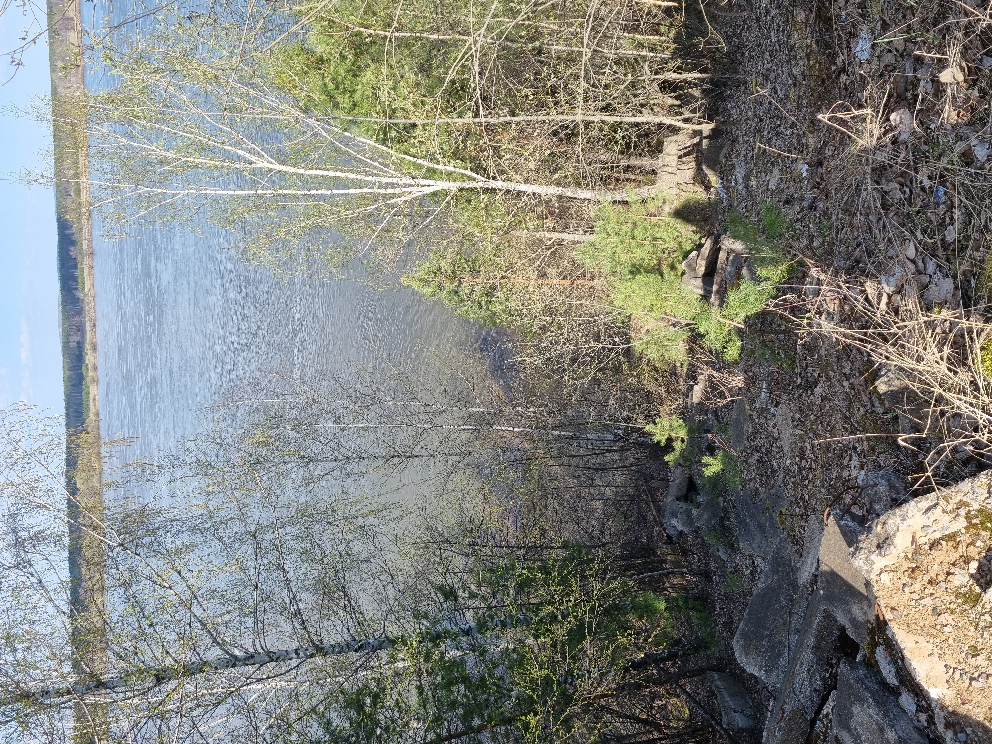 The image depicts a scene overlooking a body of water, possibly a river or a lake. The foreground consists of a rocky terrain covered in dry leaves and vegetation, with concrete rubble scattered about. Trees are present, some with bare branches and others with budding leaves. In the distance, across the water, is a tree-lined shore. The photograph appears to be taken from an elevated position, looking down at the water and the opposite shore. The location within the city of Unknown, Unknown, is not discernible from the image. There are no people visible in the image.