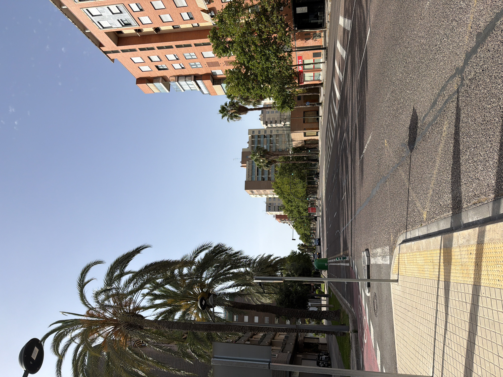 The image depicts a wide, paved city street lined with palm trees and modern buildings on both sides. The street is mostly empty, with a few cars visible in the distance. The buildings are a mix of residential and commercial properties, with balconies and windows clearly visible. The sky is clear and blue, suggesting a sunny day. The street features a pedestrian walkway with tactile paving, indicating accessibility for visually impaired individuals. The overall impression is of a well-maintained urban environment.