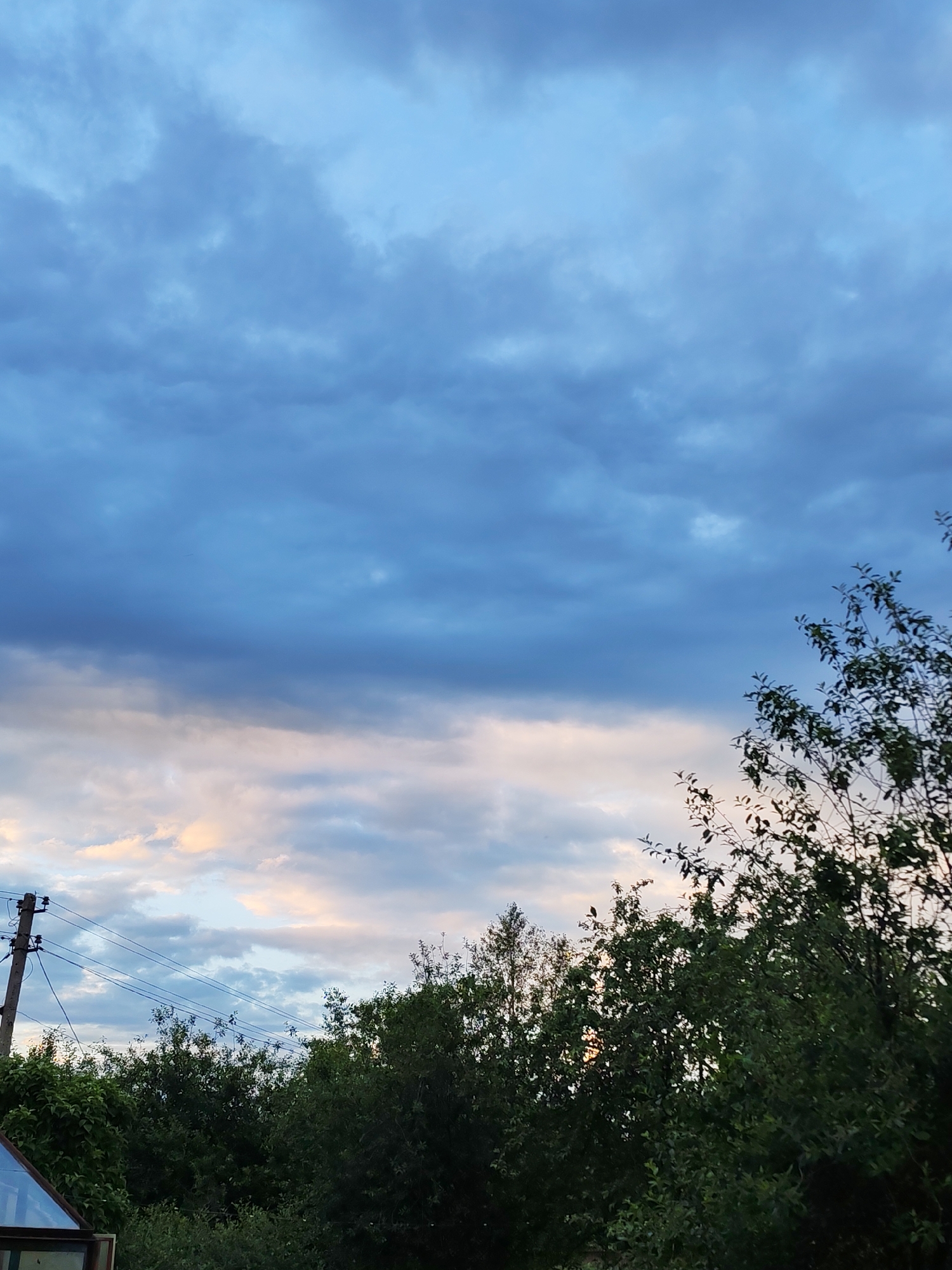 The image depicts a cloudy sky above a dense line of trees. The sky transitions from a deep blue at the top to lighter shades with hints of pink and yellow near the horizon. A telephone pole with multiple wires is visible on the left side of the frame, positioned above the trees. In the lower left corner, a portion of a greenhouse or similar structure with glass panels is visible. The overall scene appears to be an outdoor environment in Pervomaysky, Russia, likely during the evening or early morning given the lighting conditions. There are no people or animals visible in the frame.