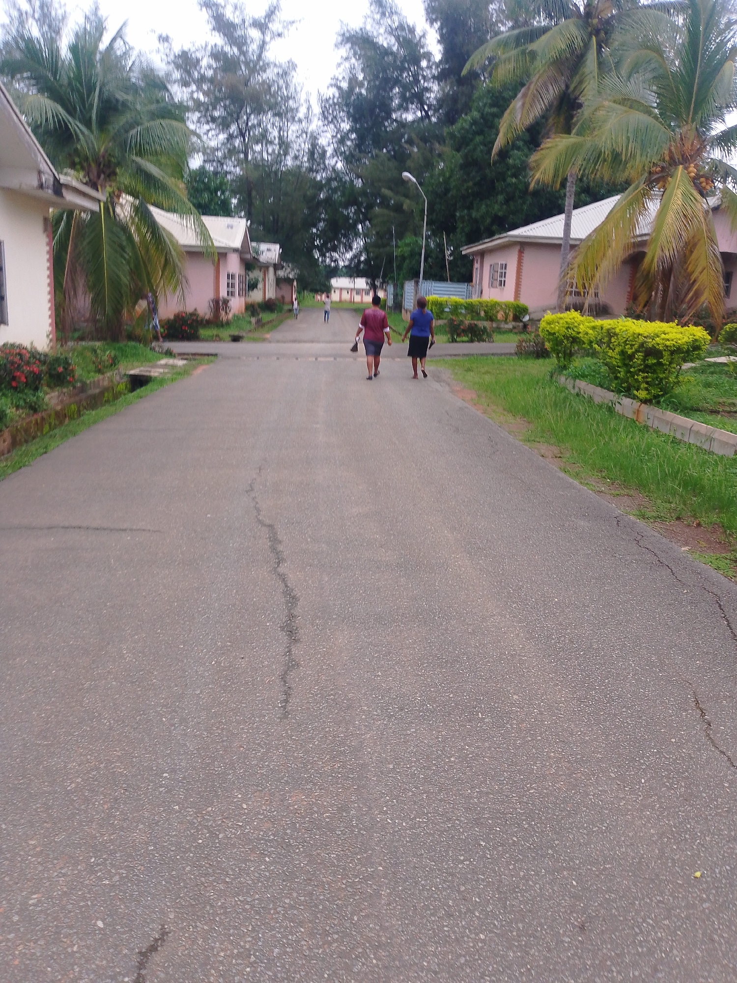 The image depicts a street scene in Agbani, Nigeria, likely within a residential or institutional compound. In the foreground, a grey asphalt road stretches into the distance, showing signs of wear with visible cracks. Two individuals are walking away from the camera on the road. The person on the left wears a dark red shirt and shorts, while the person on the right wears a blue shirt and dark skirt. To the left of the road, a light-colored building with a white roof is partially visible, bordered by lush green vegetation and red flowers. To the right, a row of pale pink buildings with white-trimmed windows and white roofs is present. These buildings are interspersed with palm trees and other greenery, including a neatly trimmed yellow bush. In the background, tall trees form a dense backdrop against an overcast sky. A streetlamp is visible on the left side of the road in the mid-ground. The overall environment suggests a warm, possibly humid climate, consistent with the location in Nigeria.