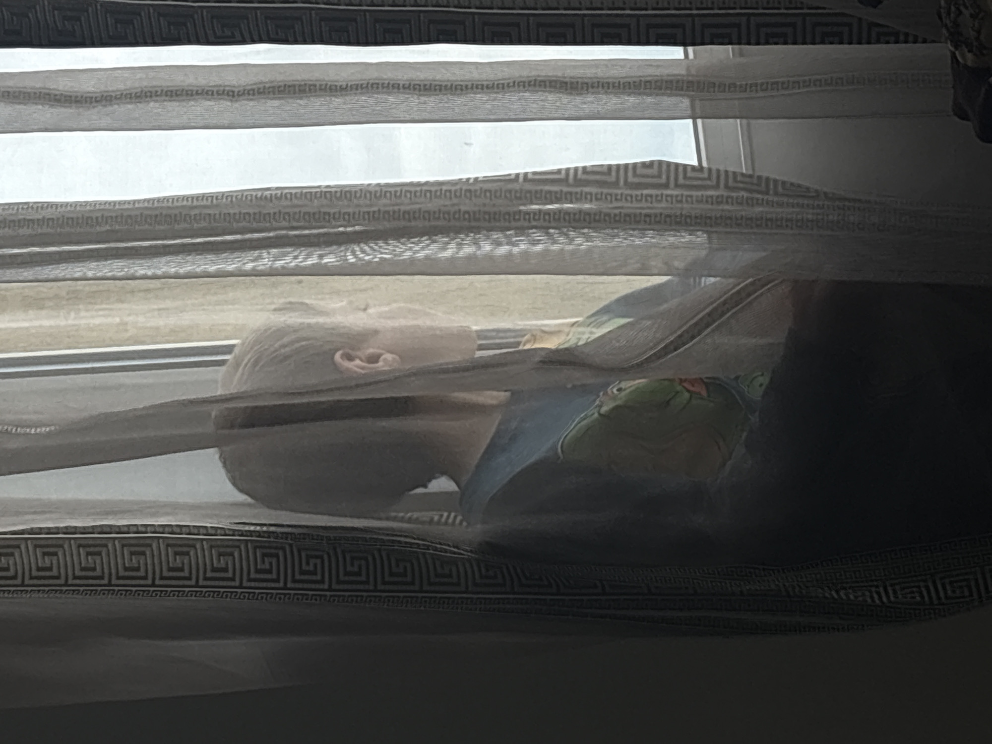 The image depicts a person lying on a window seat, visible through horizontal blinds. The person's head is towards the window, with a pillow featuring a green design. The room is dimly lit. The location is potentially in Sofia, Bulgaria.
