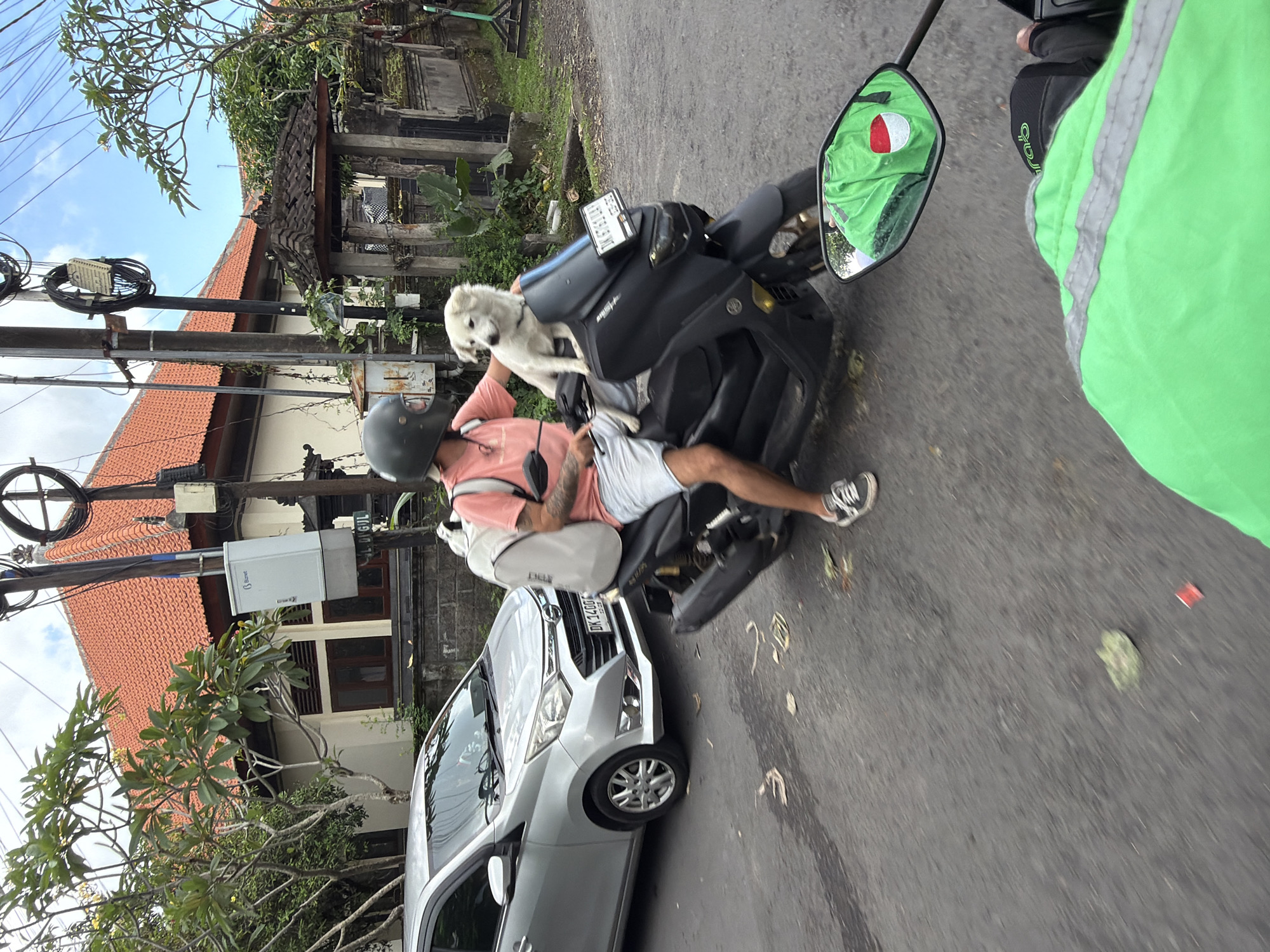 The image captures a scene in North Kuta, Indonesia, where a person wearing a helmet, a pink shirt, and light-colored shorts rides a black motorcycle. A white dog is positioned on the front of the motorcycle. A silver car is parked nearby. A green jacket with a Grab logo is visible in the reflection of the motorcycle's mirror. Overhead power lines and tropical foliage are also visible. The image appears to be taken from a slightly elevated angle, possibly by a passenger on another vehicle.