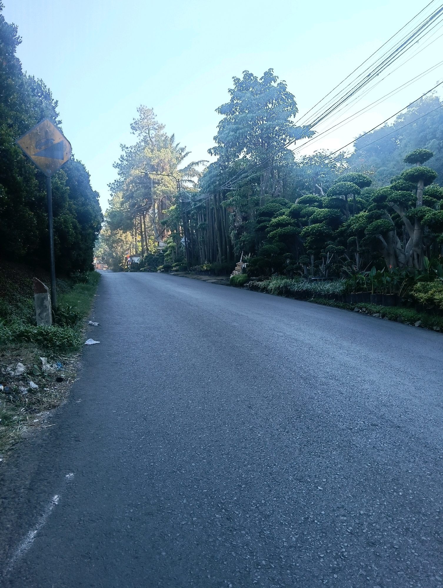 The image depicts an empty, asphalt road winding through a lush, green environment. On the left side of the road, a yellow diamond-shaped warning sign with a black graphic of a car on an incline is visible, indicating a steep descent. Adjacent to the sign is a concrete marker. The road is bordered by dense foliage and trees, with some of the trees appearing to be meticulously pruned into ornamental shapes. In the distance, a slight haze suggests either morning mist or pollution. Overhead, power lines crisscross the sky. The scene appears to be a scenic road, likely in a mountainous or hilly area, consistent with the location of Gudangkahuripan, Indonesia, which is known for its natural beauty and elevation. No people or vehicles are present in the frame.