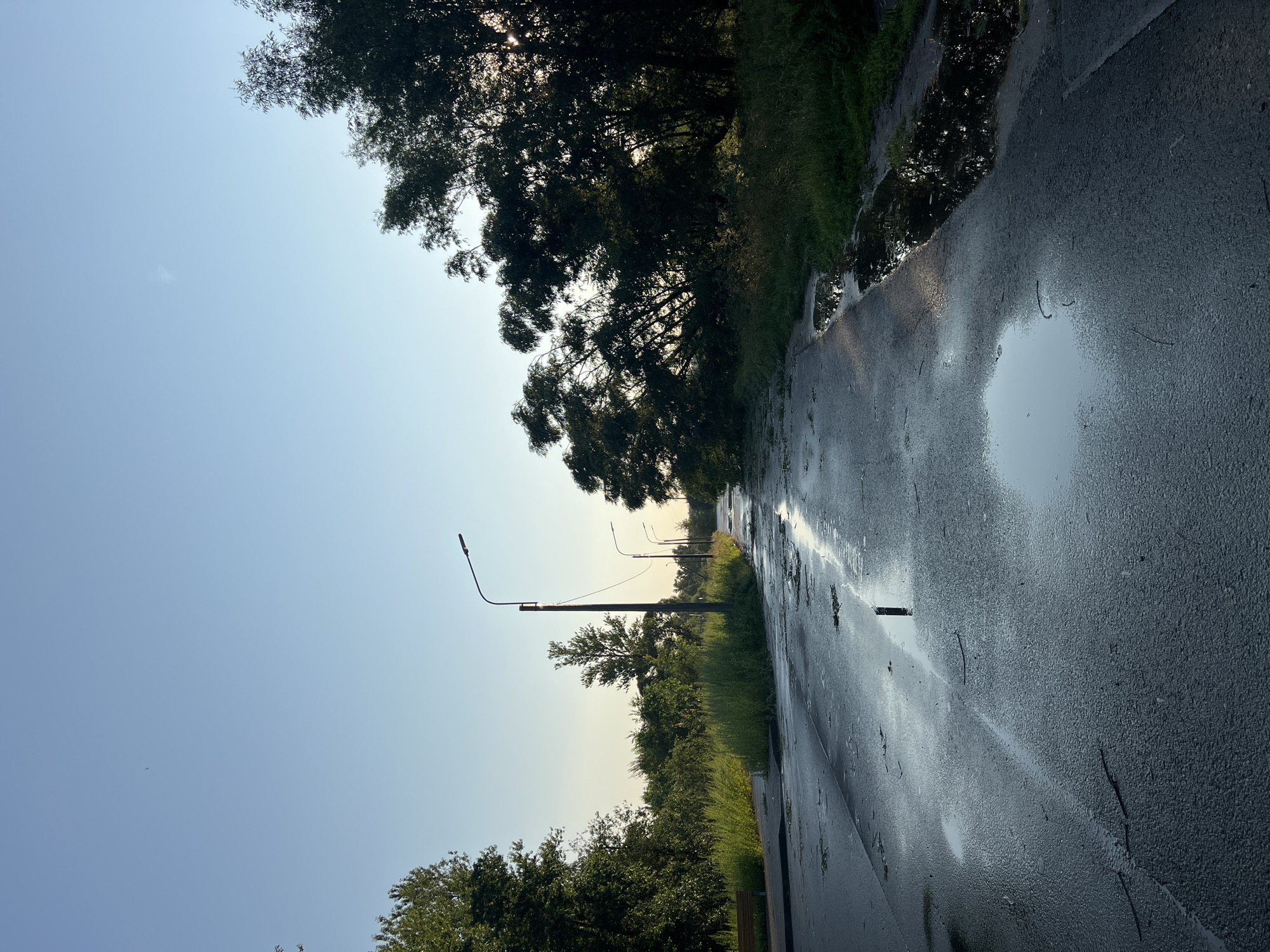 The image depicts a wet asphalt road with several puddles and debris scattered across its surface, indicating recent rainfall or a cleaning event. The road appears to be in a state of disrepair or neglect, with some areas of cracked asphalt. On either side of the road, there is lush green vegetation and trees, suggesting a rural or semi-rural setting. Several lampposts line the road, but their lights are not illuminated. In the distance, the road curves out of view, disappearing into a dense growth of trees. The sky is clear and blue, with the sun low on the horizon, casting long shadows and creating a serene, almost tranquil atmosphere despite the signs of neglect. The location is identified as Alexandrovskaya, Russia, a town with a history of both rural and industrial development.